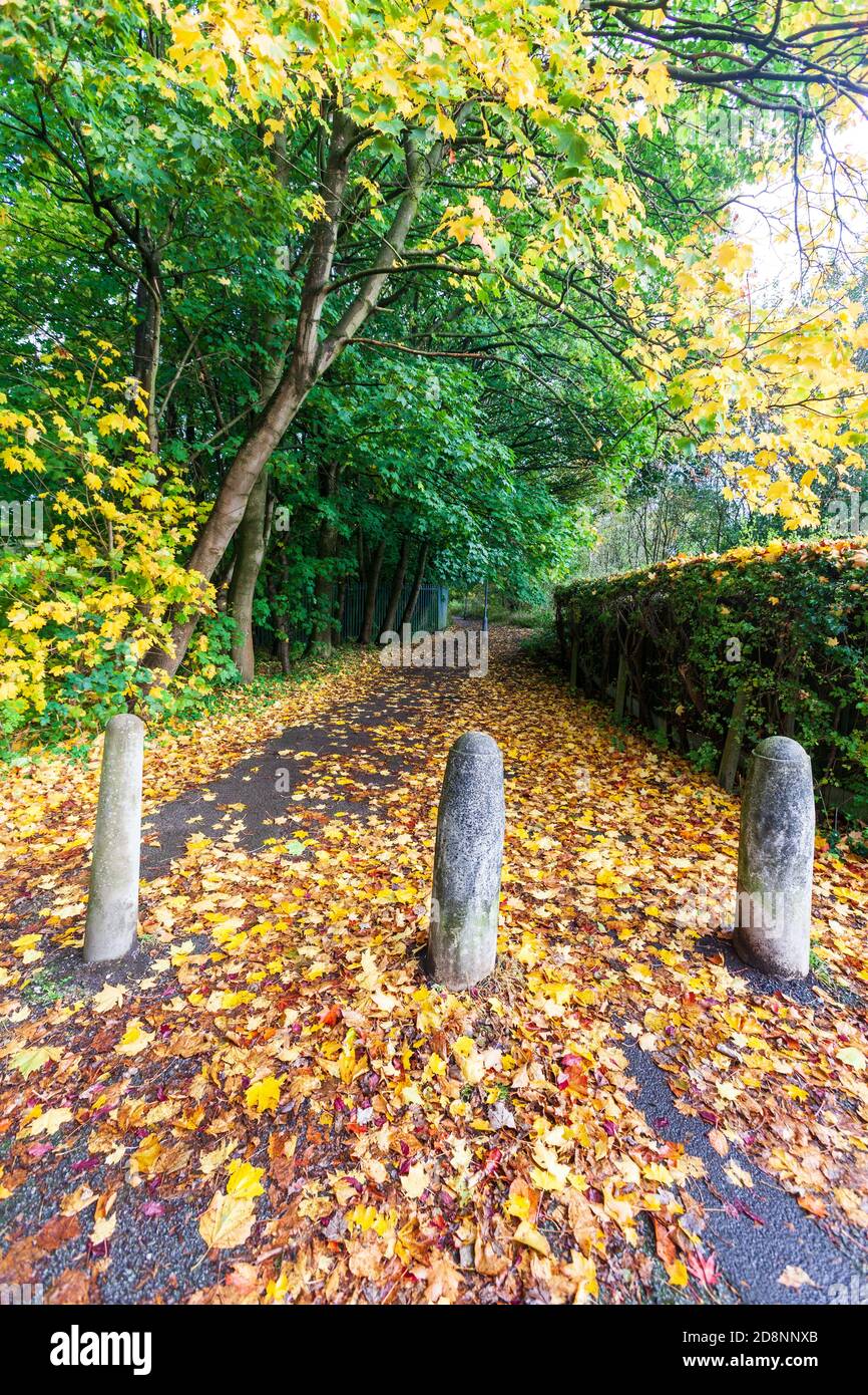 Scène d'automne avec posts et chemin, Ellesmere Park, Eccles, Salford, Greater Manchester, Royaume-Uni Banque D'Images