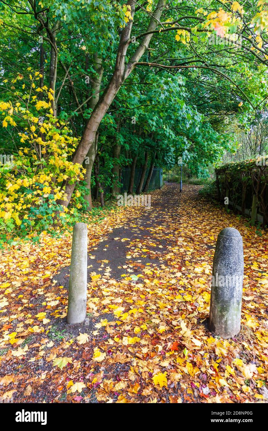 Scène d'automne avec posts et chemin, Ellesmere Park, Eccles, Salford, Greater Manchester, Royaume-Uni Banque D'Images