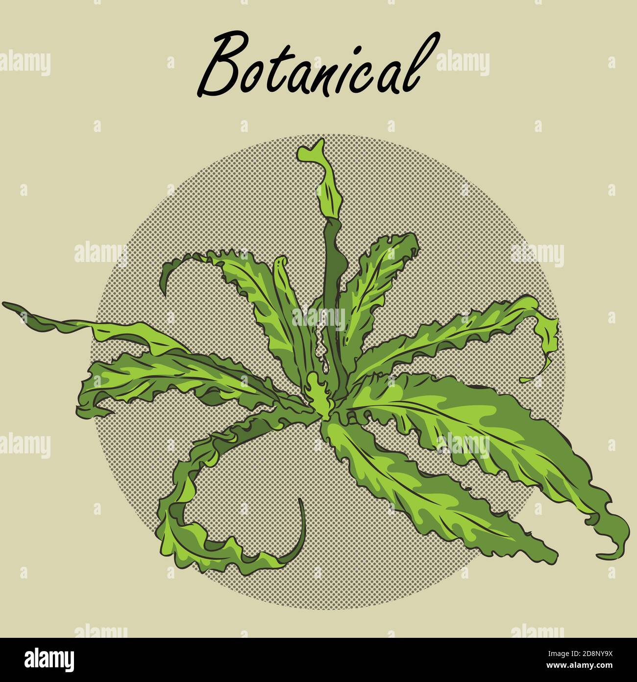 Raphia vert Banque d'images vectorielles - Alamy