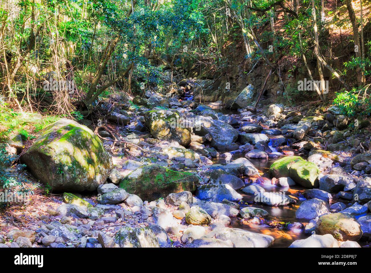 Lit de rivière Dry Minnamourra dans la forêt tropicale et le parc national de Minnamourra, par une belle journée d'été. Banque D'Images