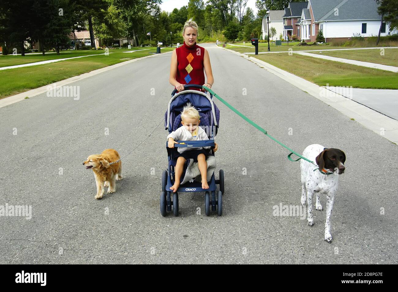 Mère avec son fils de 2 ans prend une promenade avec leur 2 chiens Banque D'Images