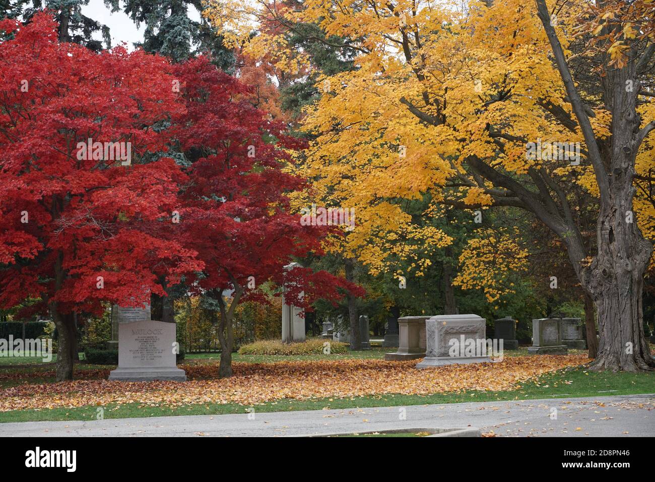 Cimetière Mount Pleasant, Toronto, Canada, arbres dans le feuillage d'automne Banque D'Images