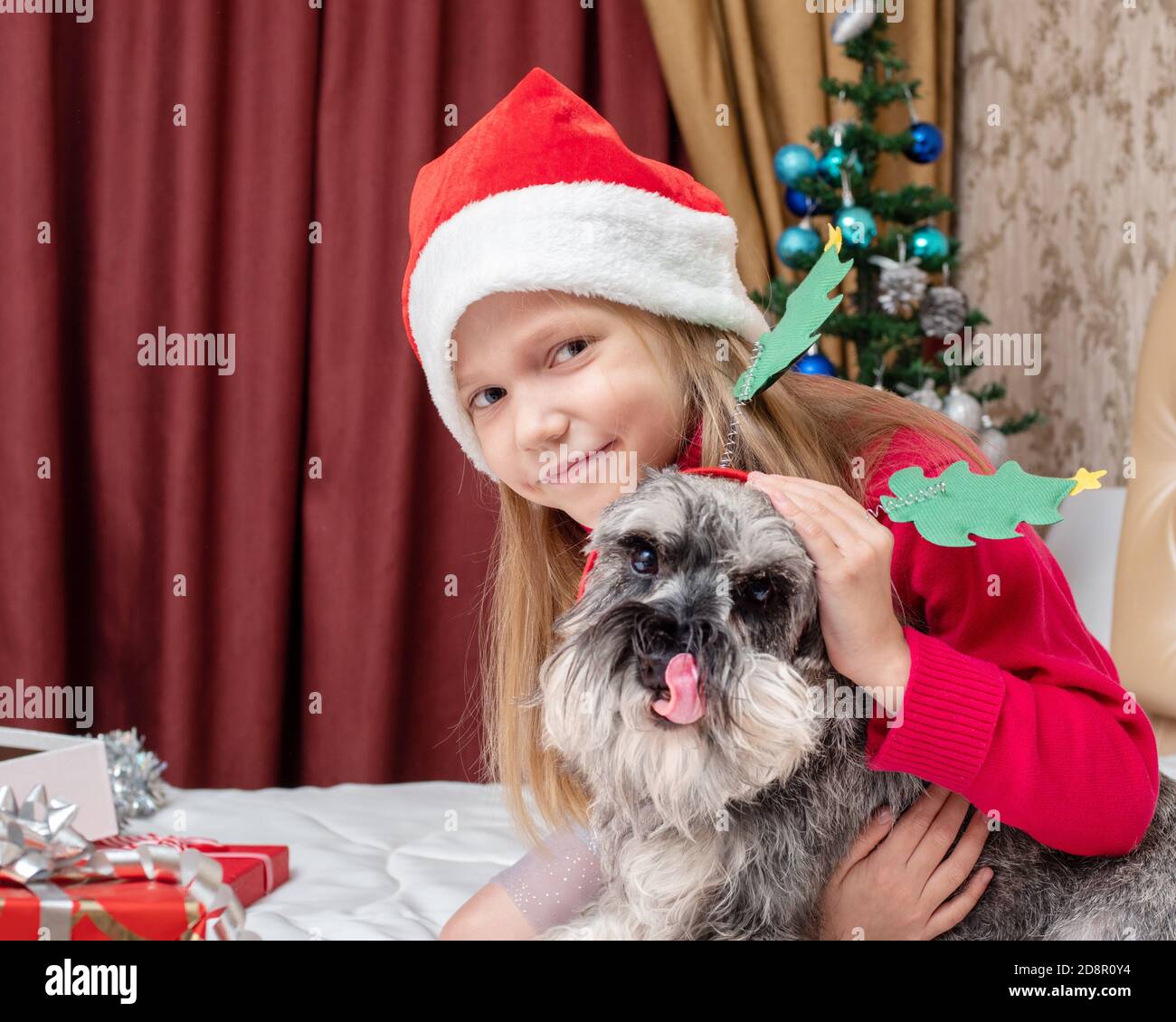 Adorable petite fille riant met sur un bandeau avec Noël arbres sur un chien schnauzer miniature Banque D'Images