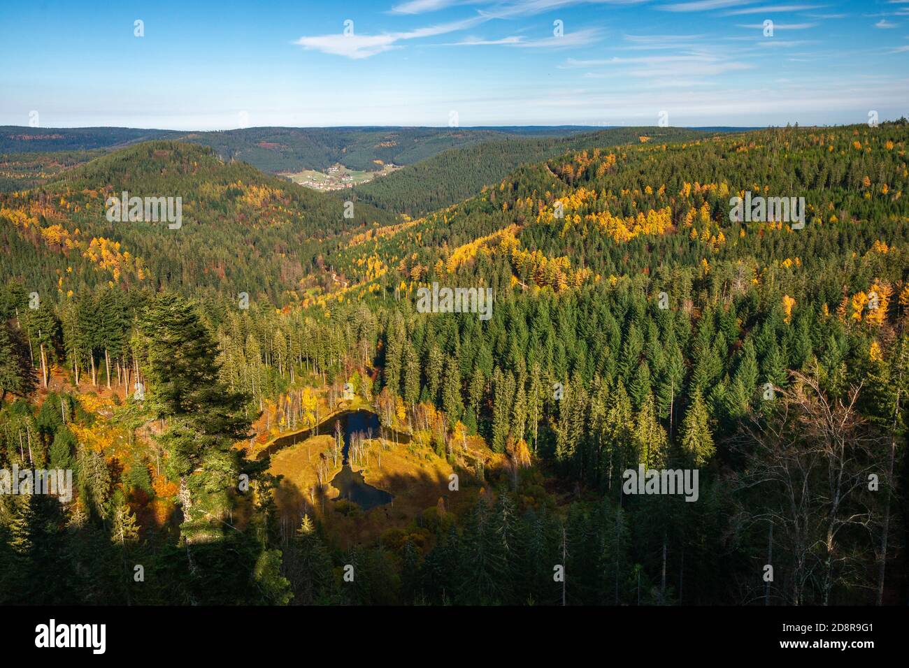 Vue sur Ellbachsee, un tarn dans la Forêt Noire du nord, Allemagne Banque D'Images