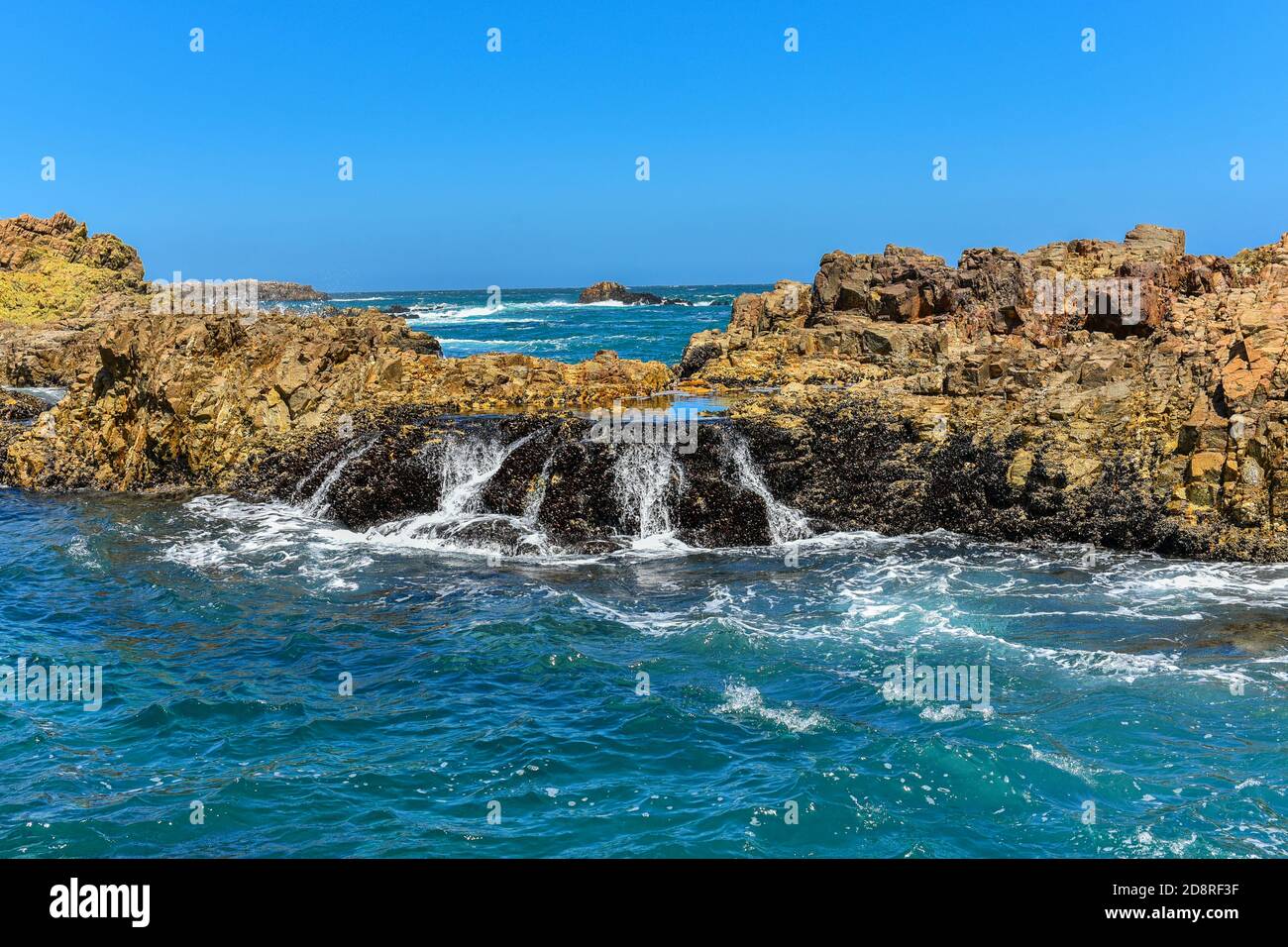 Rochers dans la mer, Knysna Heads, Garden route, Afrique du Sud Banque D'Images