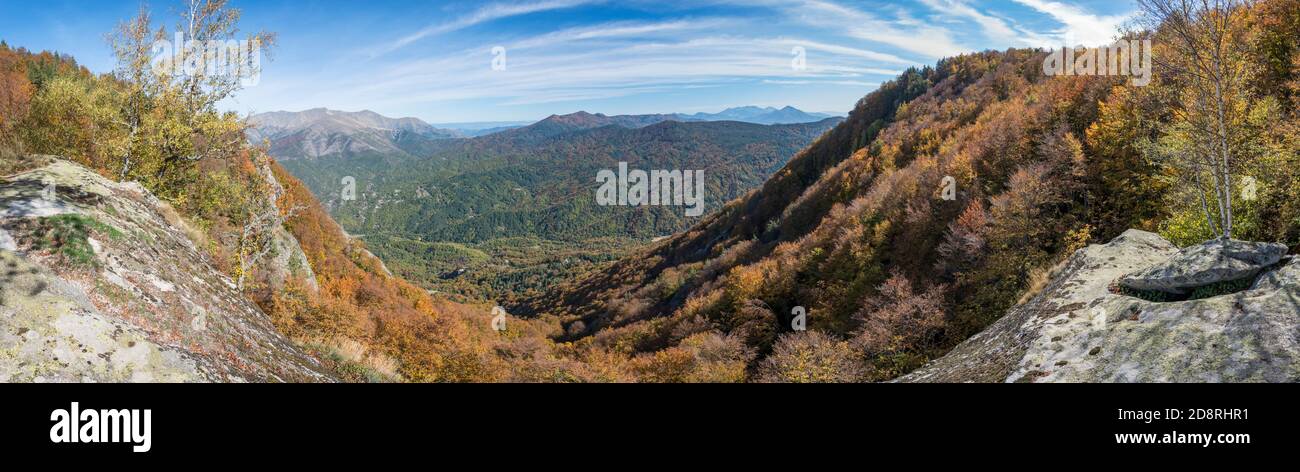 Forêt de Lailias en automne dans les montagnes de Vrontous en Grèce Banque D'Images