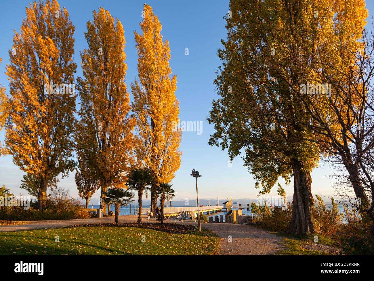 Immenstaad au lac de Constance en automne Banque D'Images