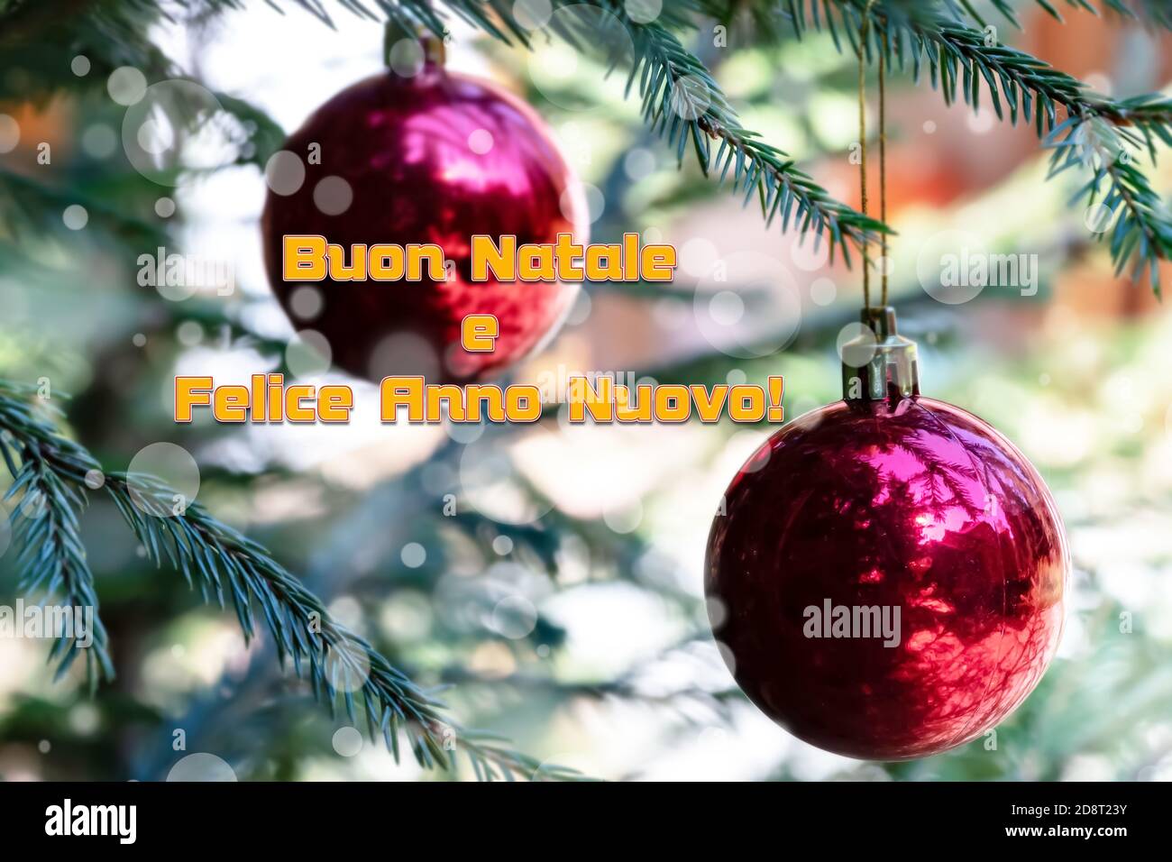 Vœux de Noël en italien signifie Joyeux Noël et heureux Nouveau Année sur boules rouges floues avec réflexion décorer le vert Branches du Christ Banque D'Images
