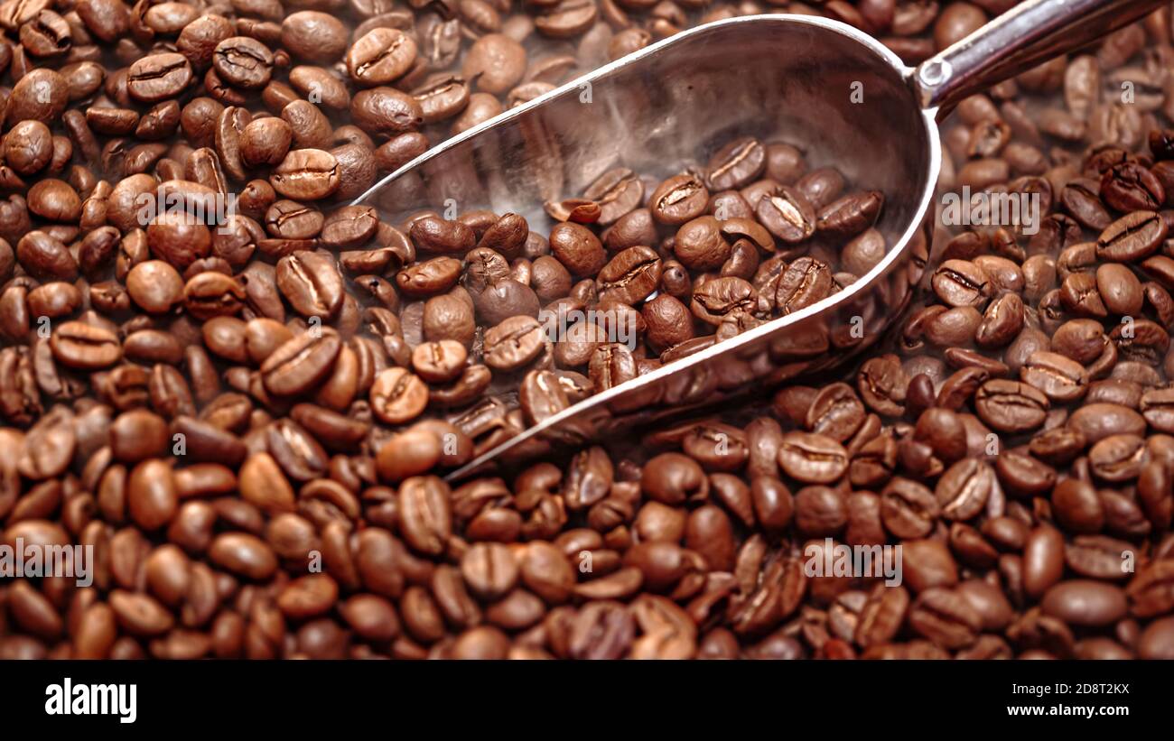 Gros plan des graines de café. Les grains de café parfumés sont de la fumée torréfiée provenant de grains de café. Banque D'Images