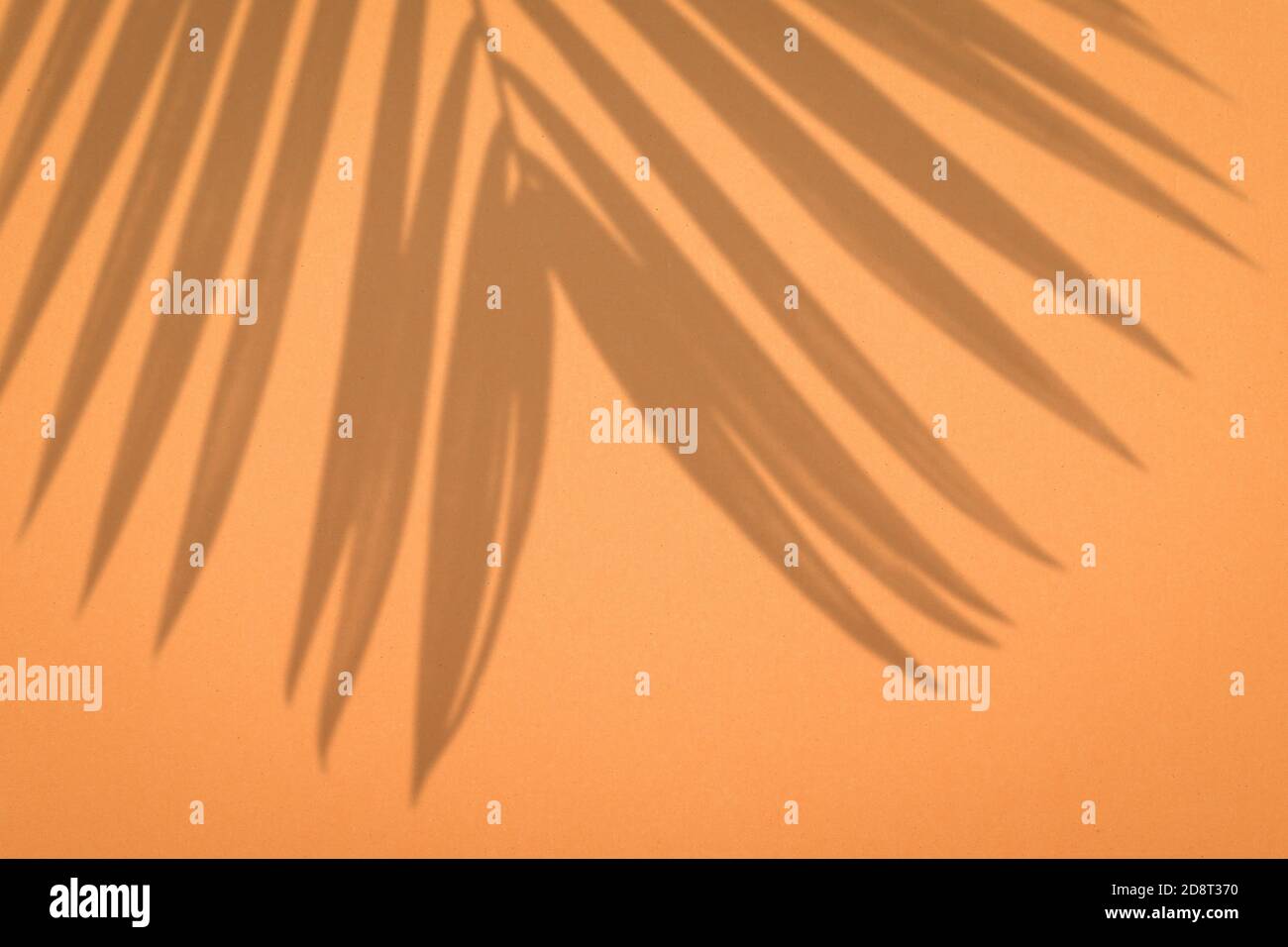 Réaliste et biologique feuilles tropicales naturel ombre effet sur fond de texture Orange. Banque D'Images
