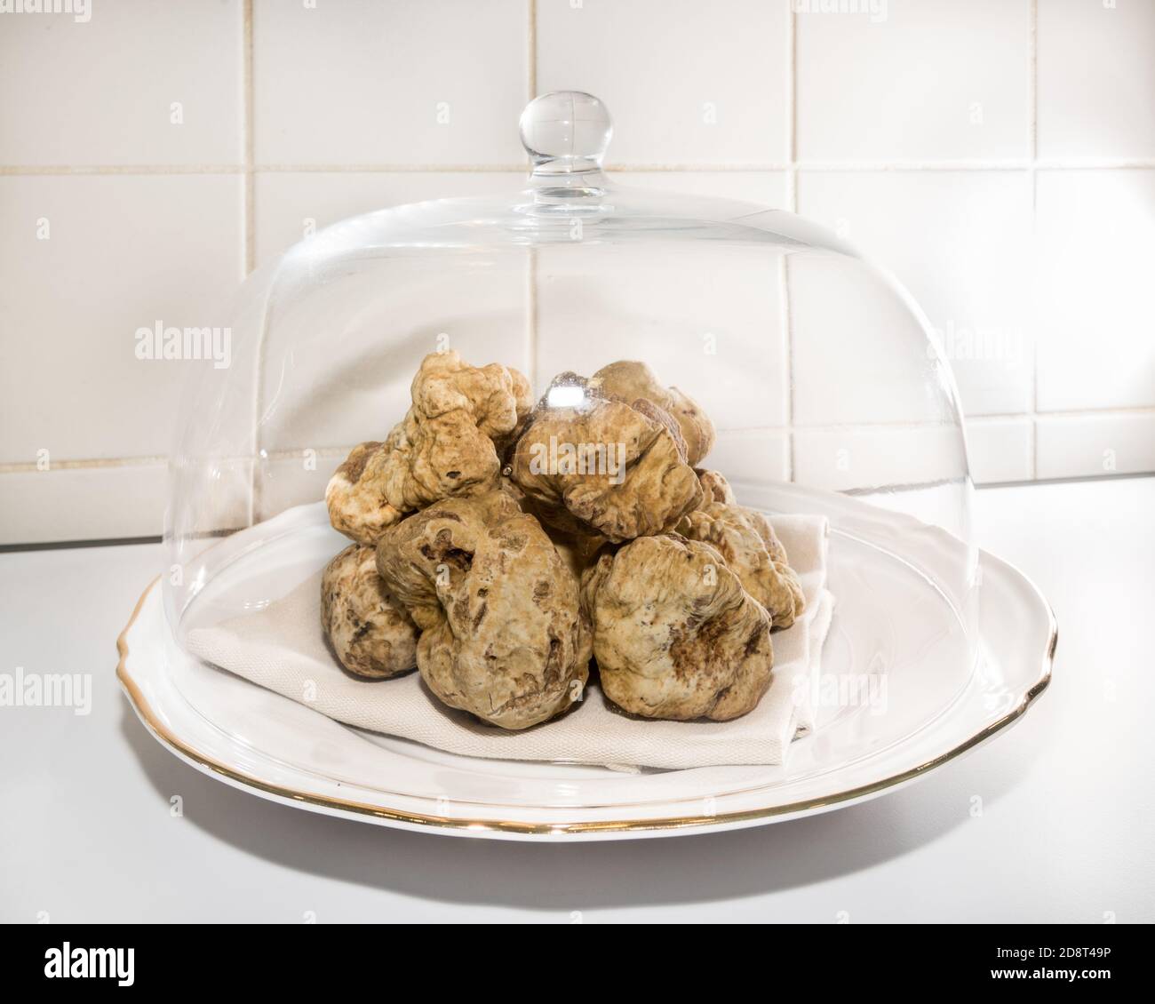 Truffes blanches d'Alba sous une cloche de verre Banque D'Images
