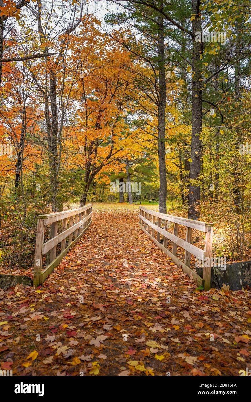 La chute de l'automne part sur un pont au parc national Jay Cooke à Carlton, Minnesota Banque D'Images