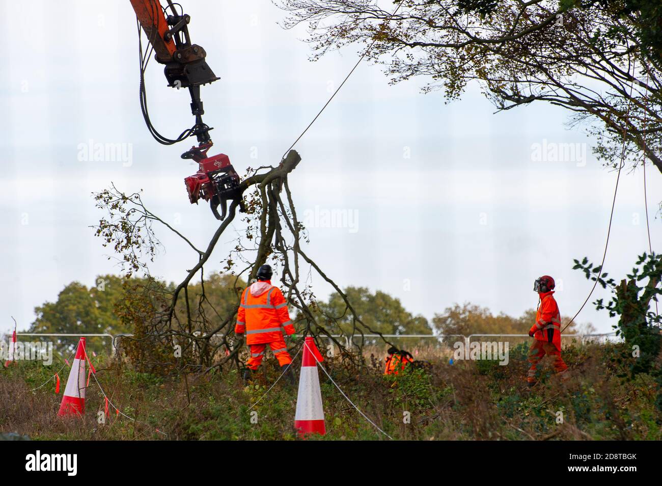 Aylesbury Vale, Buckinghamshire, Royaume-Uni. 28 octobre 2020. HS2 coulait d'énormes membres sur les arbres dans le Ditch de Grim ce matin, sous la surveillance d'un manifestant solitaire pacifique et affolé contre HS2. Les militants écologistes allèguent que HS2 n'a pas de permis pour la faune leur permettant de tomber dans cette région. HS2 n'a pas pu fournir la licence. La construction du train à grande vitesse très controversé et à budget élevé de Londres à Birmingham met en péril 108 anciennes terres boisées, 33 SSSI et 693 sites fauniques. Crédit : Maureen McLean/Alay Banque D'Images