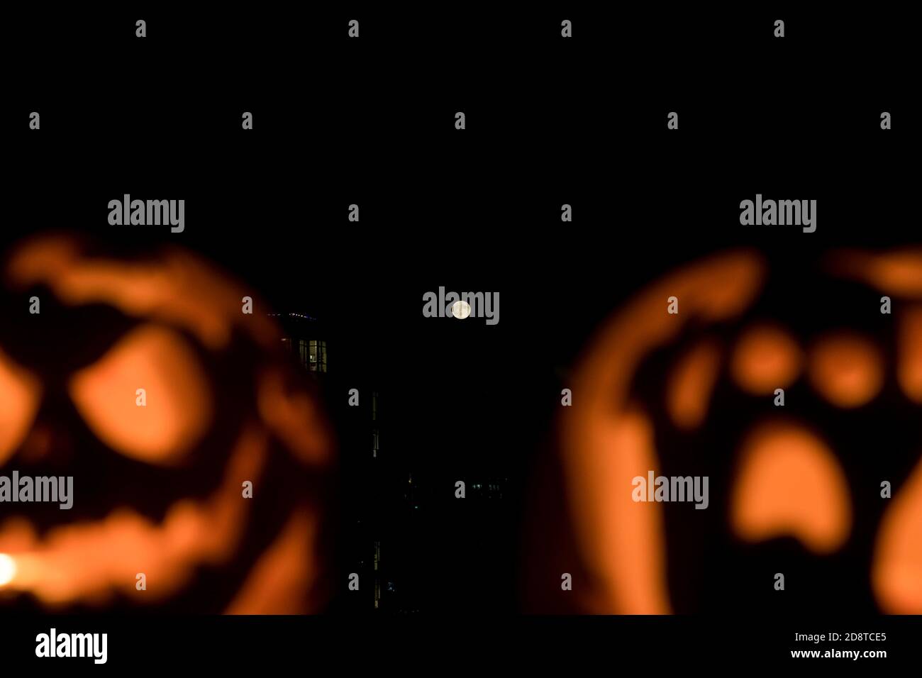 Citrouilles sculptées avec la lune en arrière-plan Banque D'Images