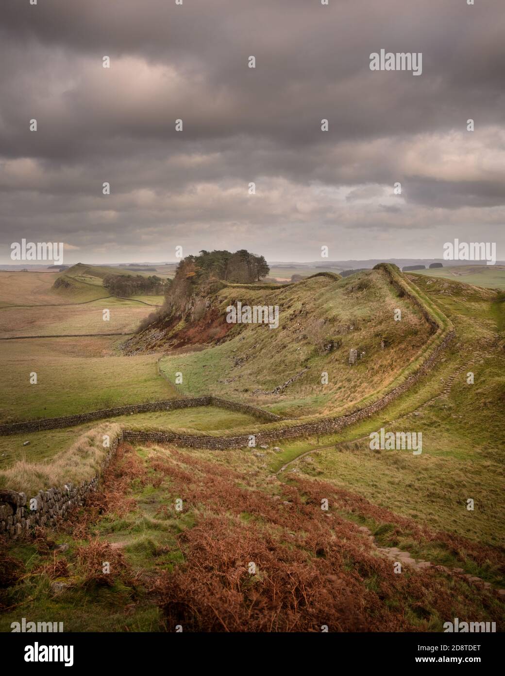 Mur d'Hadrien, près des Housesteads, à la fin de l'automne Banque D'Images