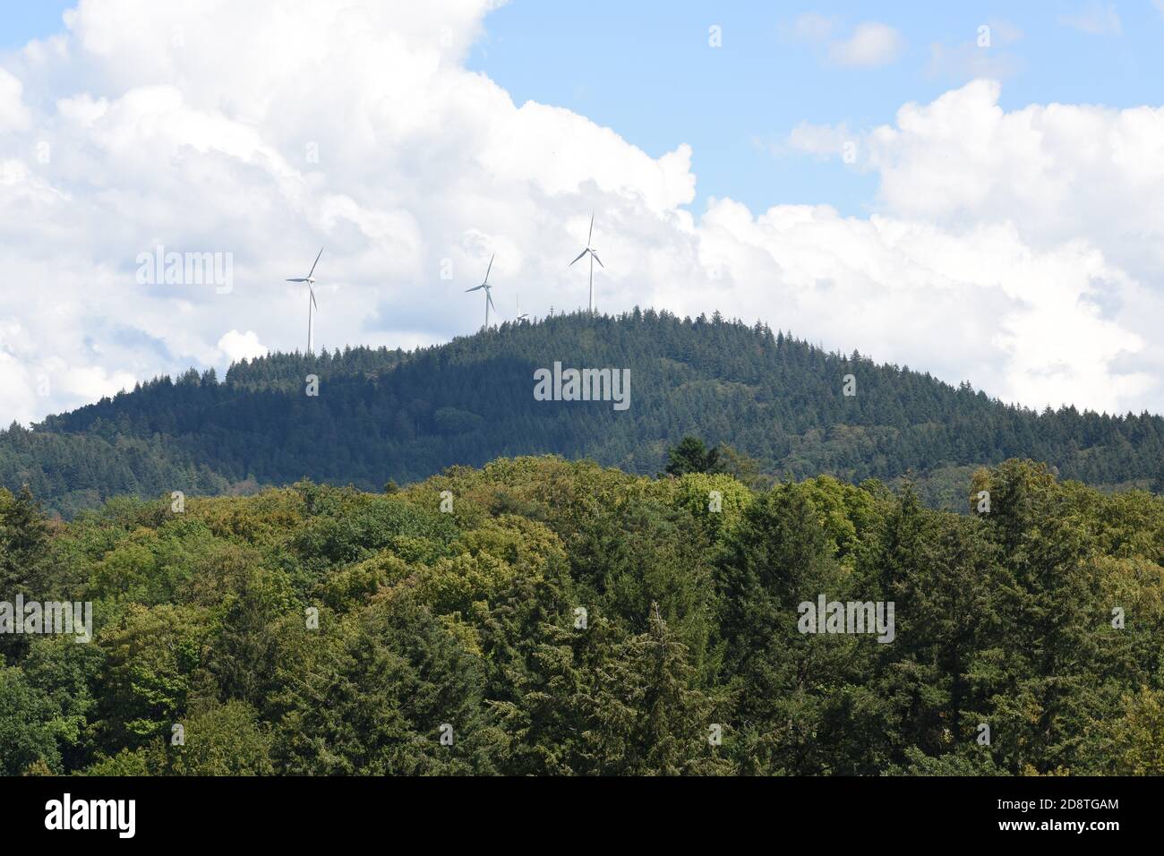 Vents sur les collines de la région de Schwarzwald en Allemagne. Ils produisent de l'électricité à partir du vent, une source d'énergie renouvelable, de la technologie moderne. Banque D'Images