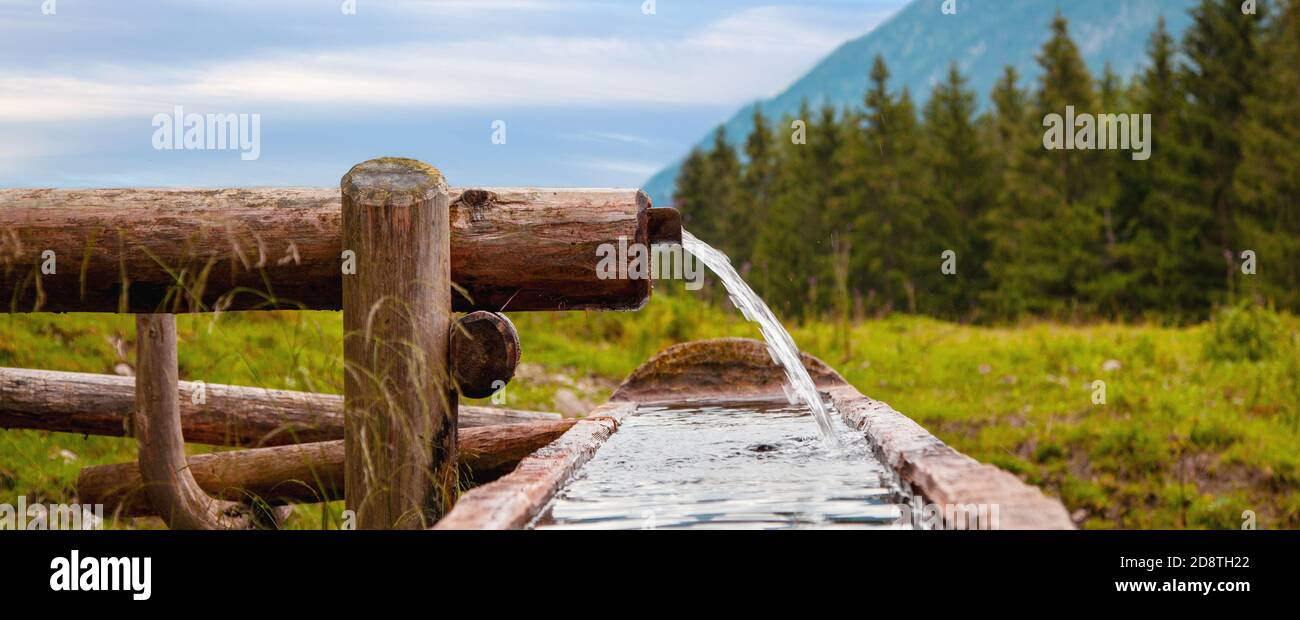 Fontaine de montagne faite d'un tronc en bois. Puits et bac d'eau fait de tronc d'arbre dans les alpes. Fontaine de tronc d'arbre naturel. Paysage idyllique Banque D'Images
