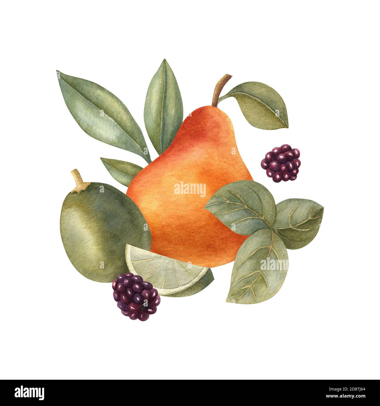 Composition de fruits à l'aquarelle avec des herbes, de la lime, de la poire et de la mûre. Illustration lumineuse d'aliments frais sains. Pour carte de vœux, invitation, bannière. Banque D'Images