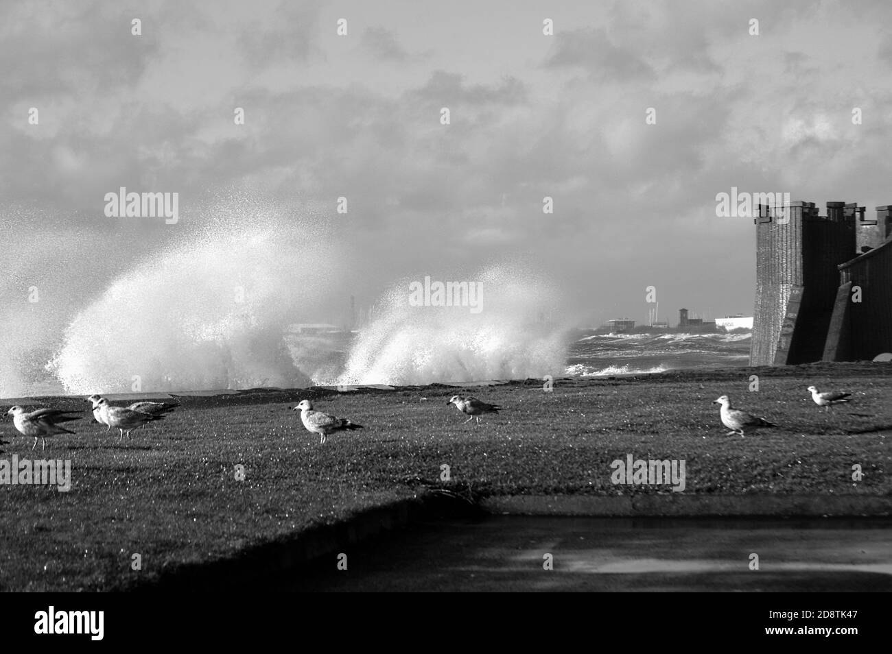 Trike - Motooring - équitation - Blue Moon - hélicoptère naval - Marine - militaire - ciel - Lest We Forget - coquelicot - oiseaux - Océan - Plage - tempête souvenir. Banque D'Images