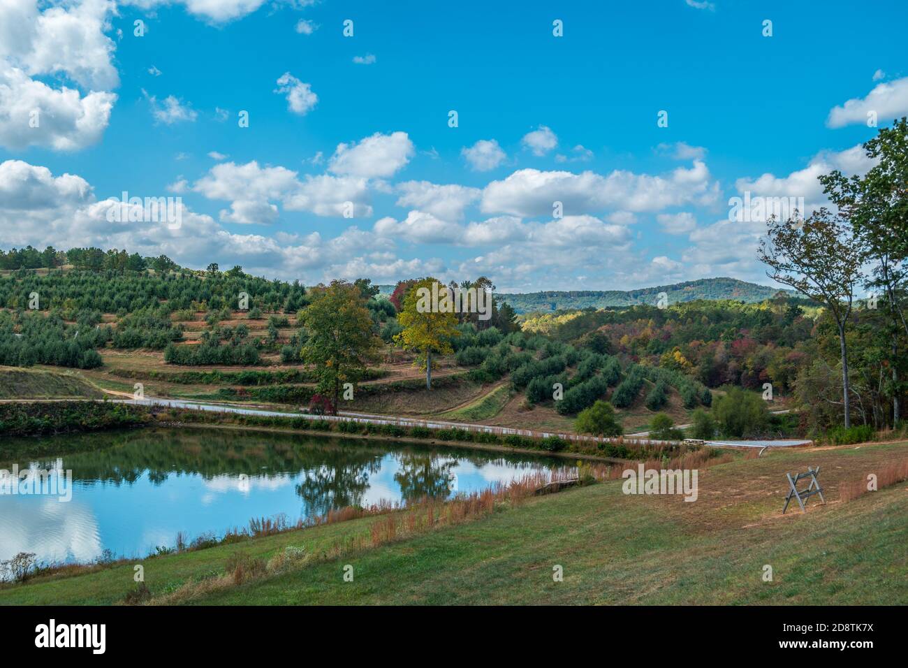 Vue panoramique sur un verger de pommes avec des rangées de pommes les arbres et les montagnes en arrière-plan et un grand bassin d'irrigation reflétant le ciel bleu avec c Banque D'Images