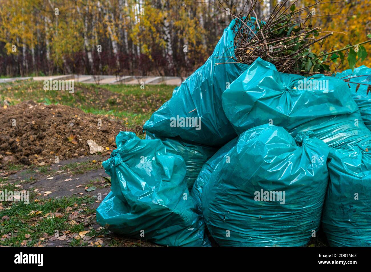 Sacs de déchets dans la nature dans un parc extérieur bleu En automne, les feuilles de forêt du parc sont collectées dans un tas Banque D'Images