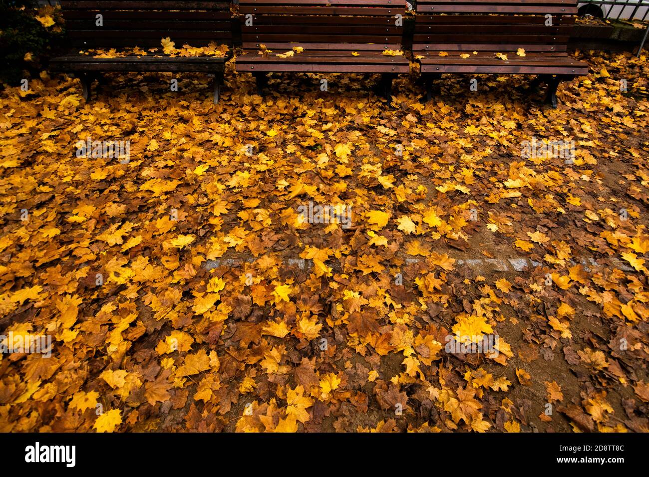 Bancs pour s’asseoir Banque de photographies et d’images à haute