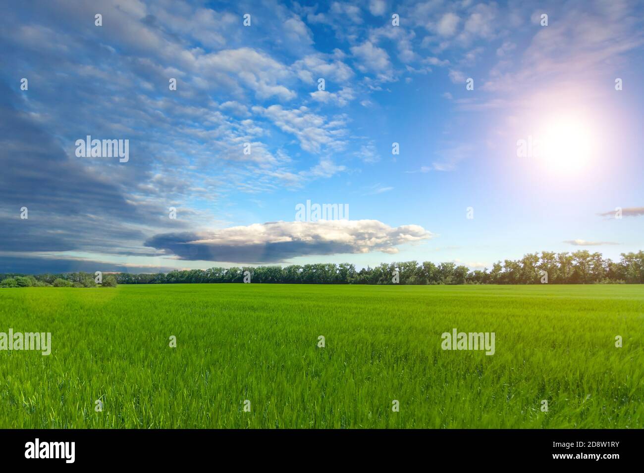 ciel bleu ciel nuageux avec soleil éclatant Banque D'Images