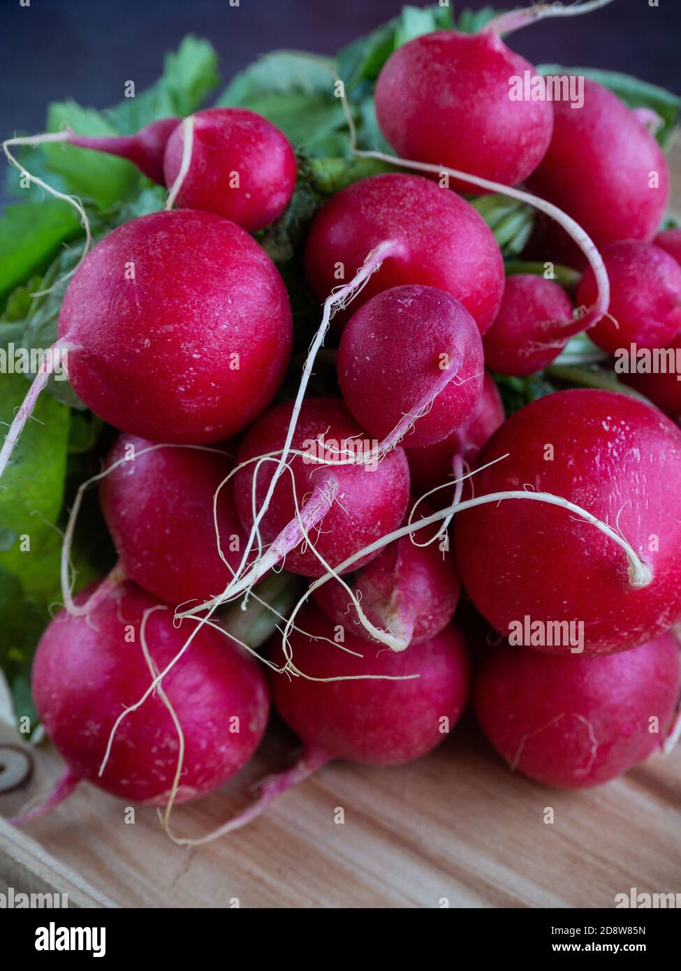 Bouquet de jeunes légumes ramish mûrs frais en gros plan Banque D'Images