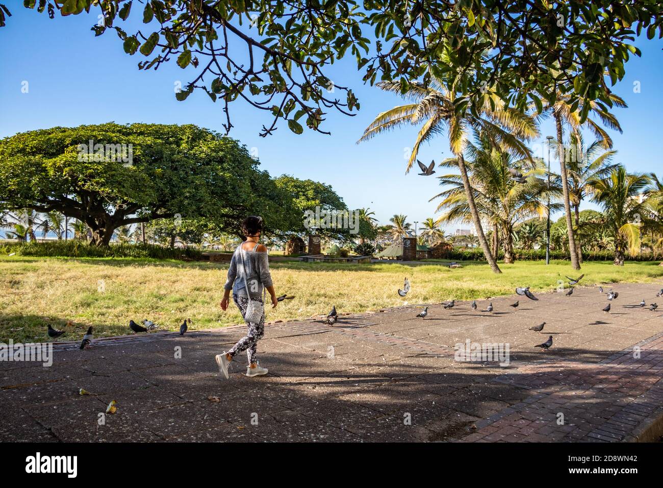 DURBAN, AFRIQUE DU SUD - 28 2020 MAI marcheur non identifié le matin pendant les heures d'exercice quotidiennes de 6-9h00 pendant que le pays est en lockd national Banque D'Images