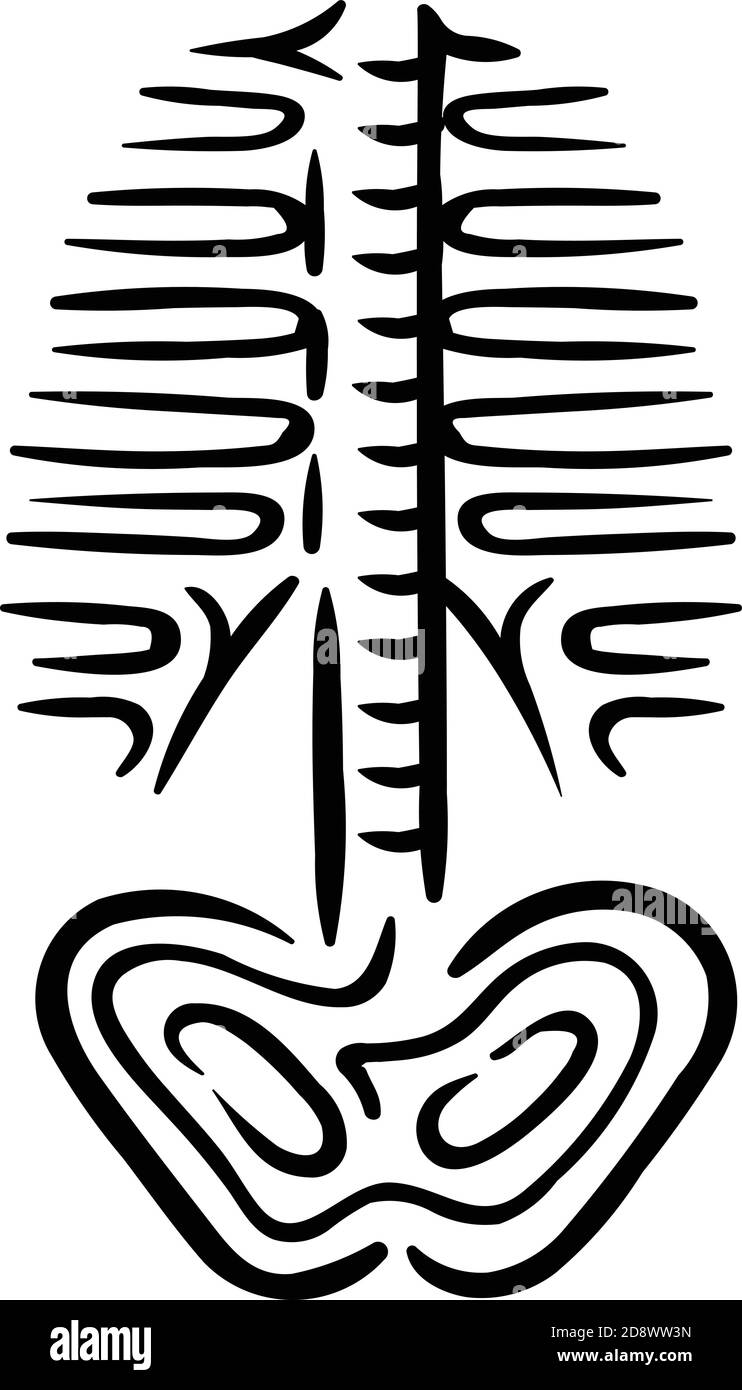 Illustration du symbole d'anatomie du squelette du corps de la cage thoracique Illustration de Vecteur