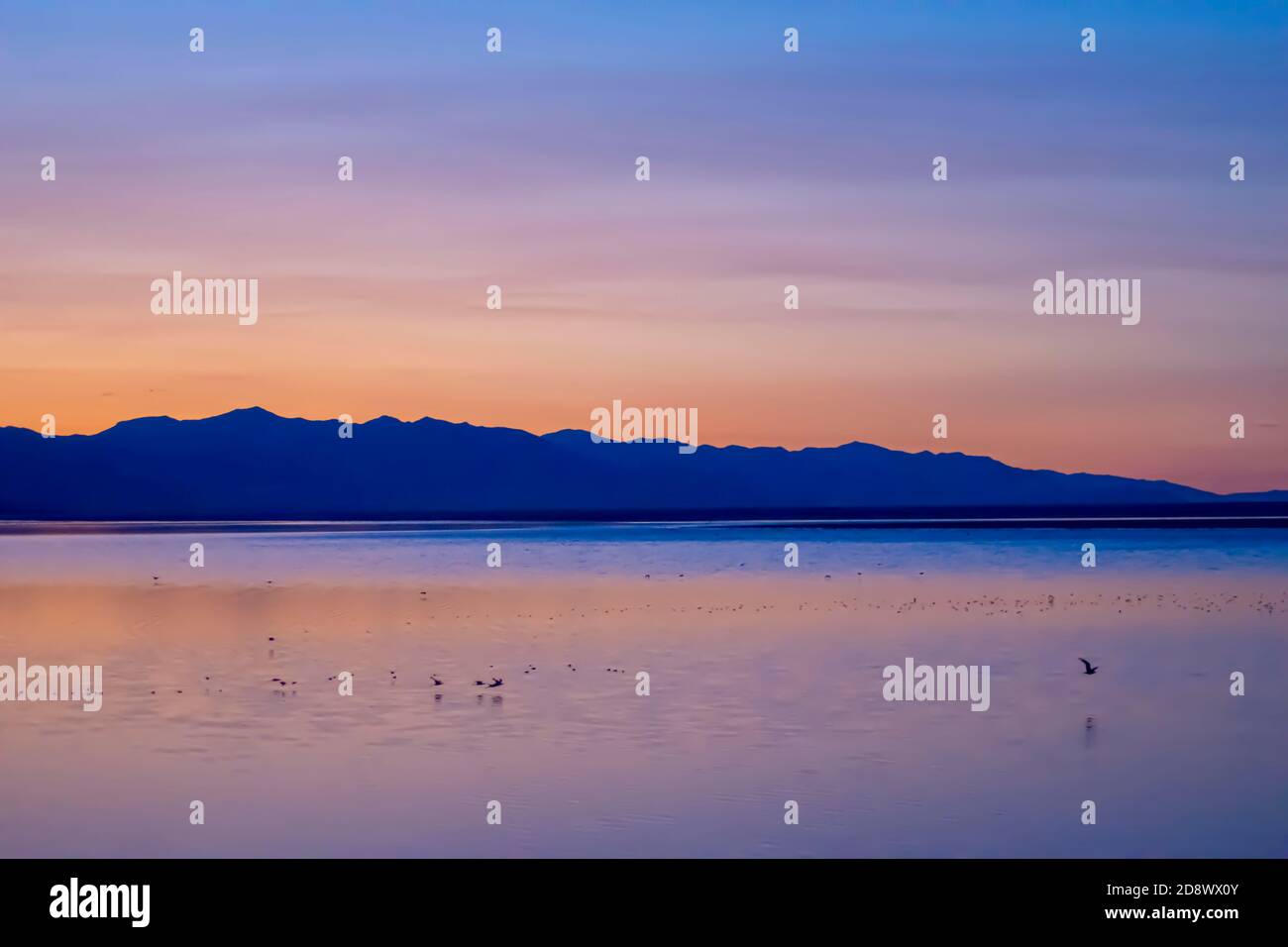 Photo du coucher de soleil sur l'île d'Antelope, Utah, États-Unis. Banque D'Images