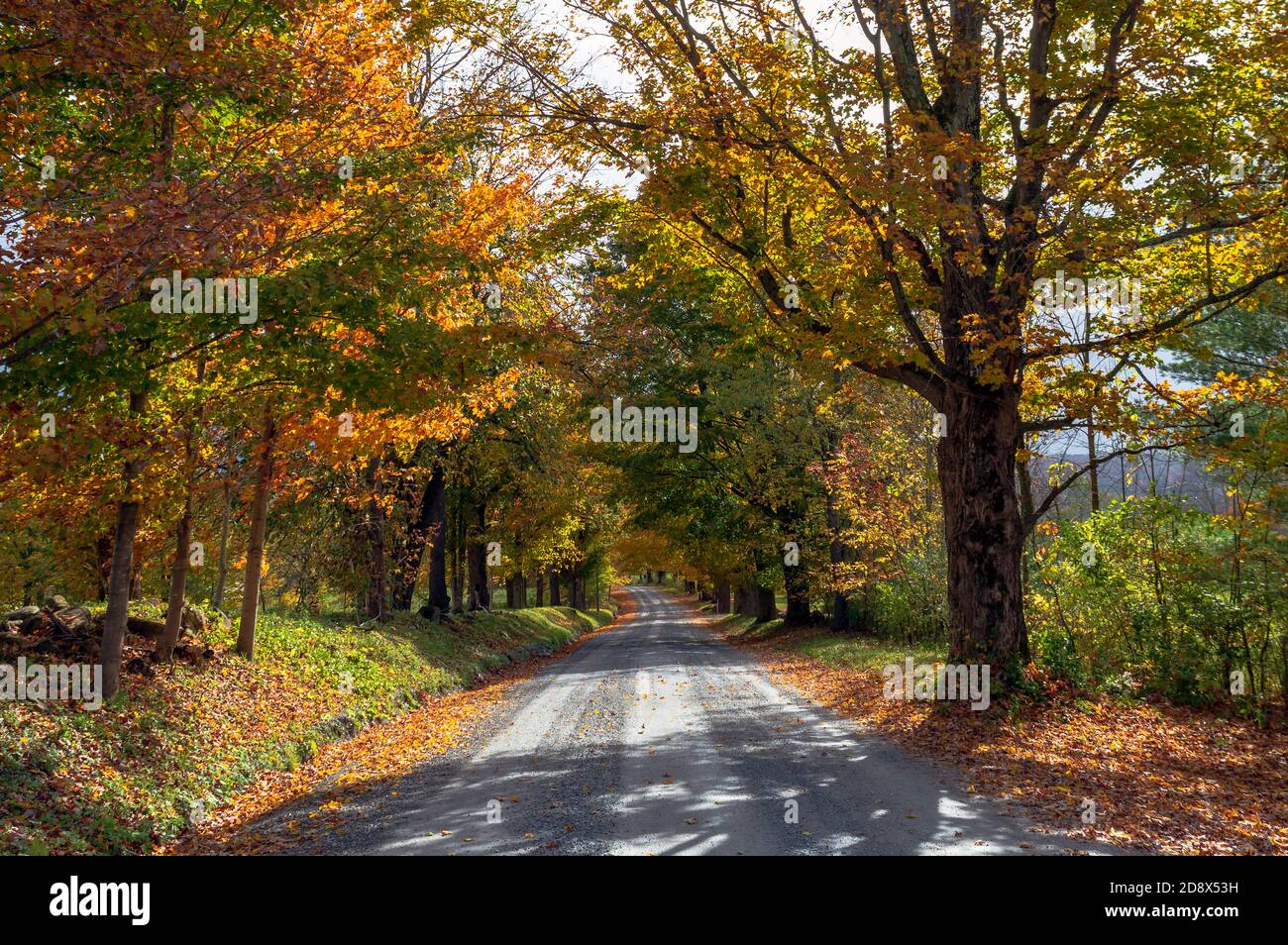 Route parmi les arbres dans le Vermont automne Banque D'Images