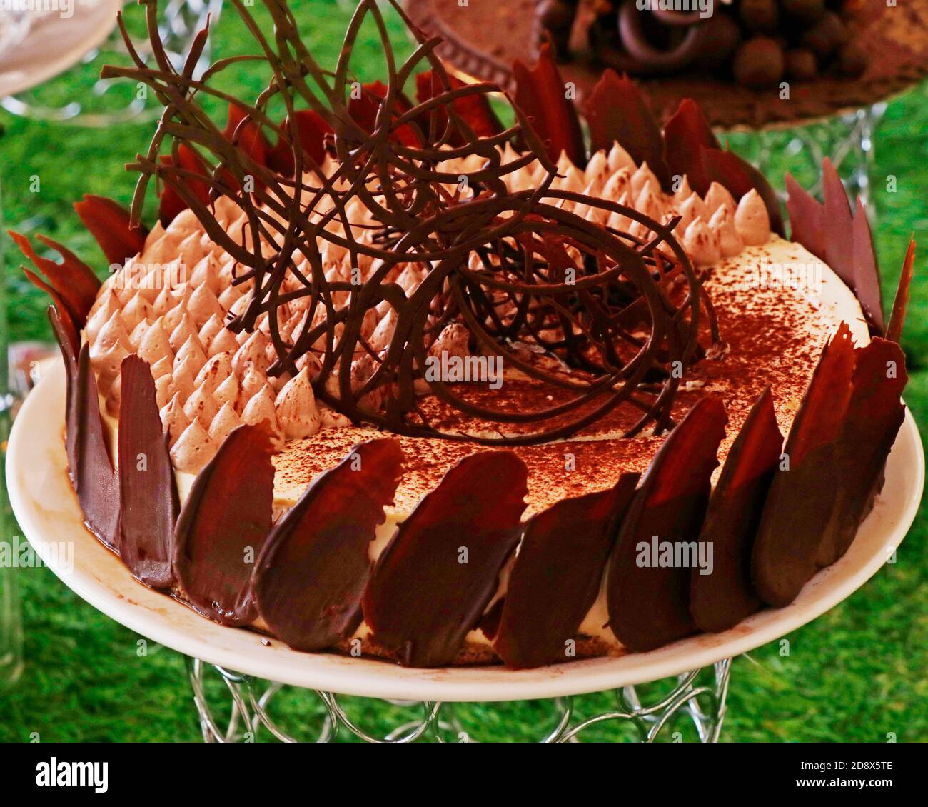 Nutella Tiramisu Plaquee Dessert Traditionnel Italien Sur Fond D Herbe Verte Photo Stock Alamy