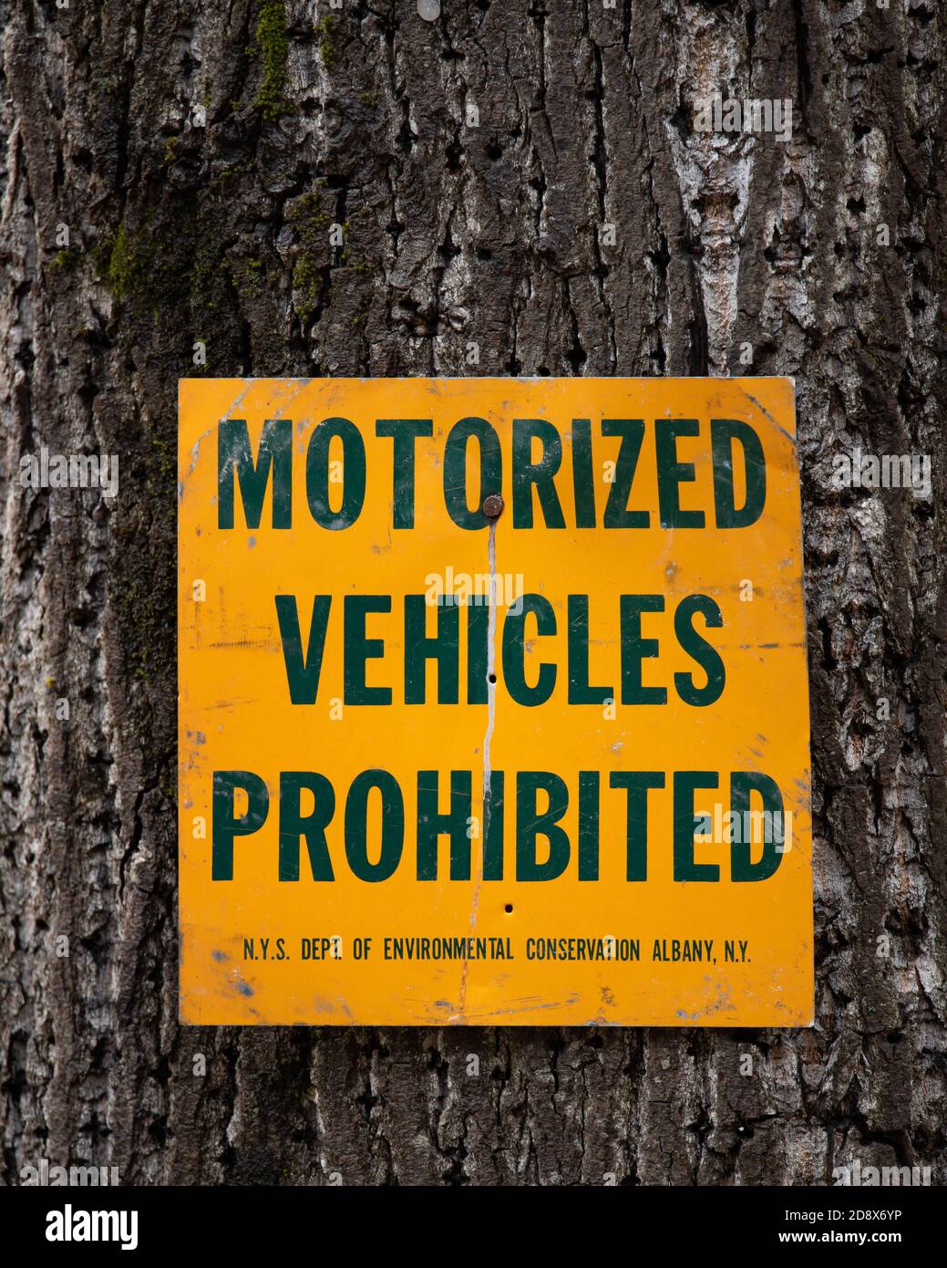 Un vieux panneau vert et or dans l'Adirondack Park, NY USA, indiquant que les véhicules motorisés sont interdits dans cette zone. Banque D'Images