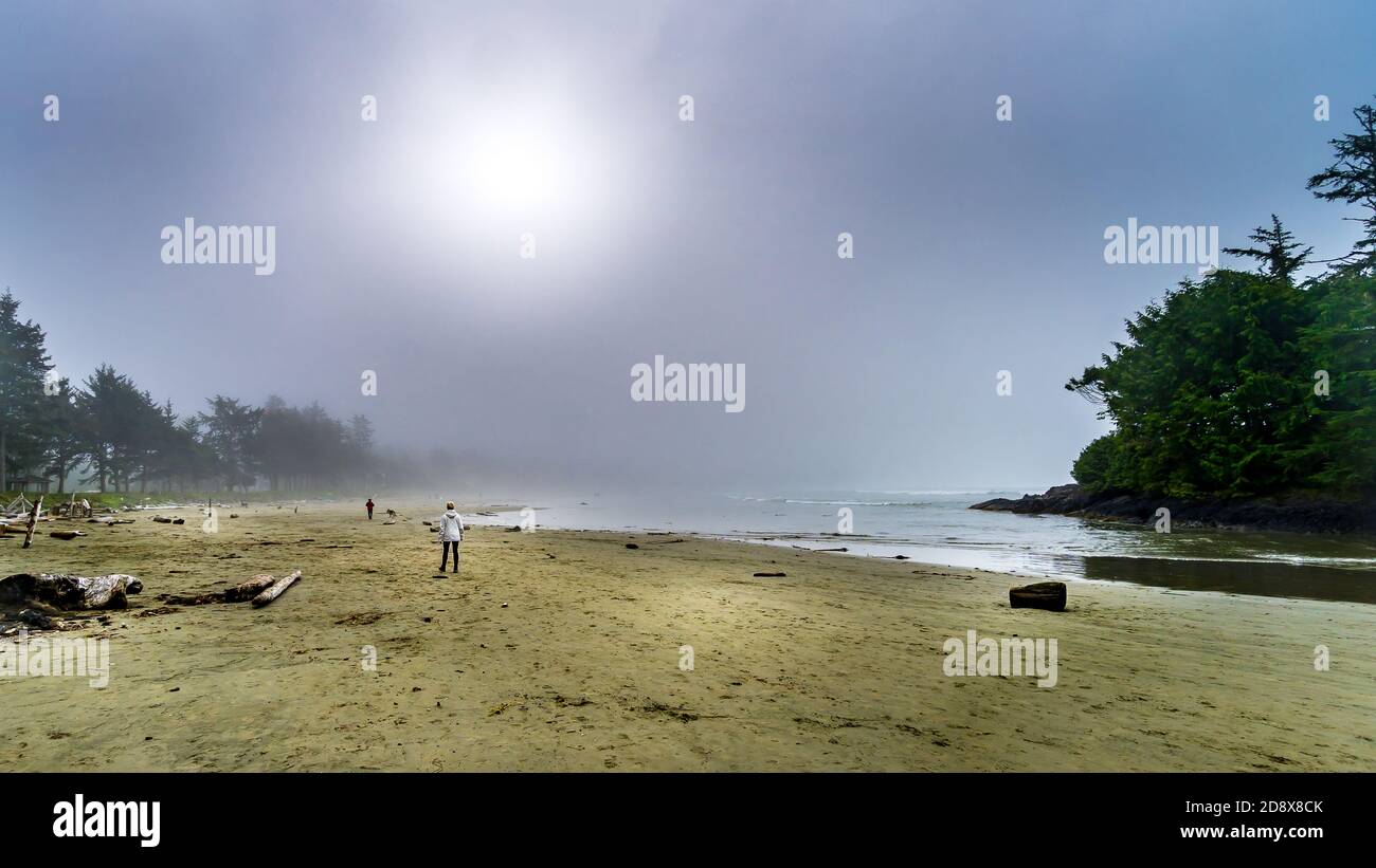 Les gens qui marchent sur la plage Sandy de Cox Bay dans un brouillard dense surplombant la plage et l'océan Pacifique au parc national Pacific Rim, sur l'île de Vancouver Banque D'Images