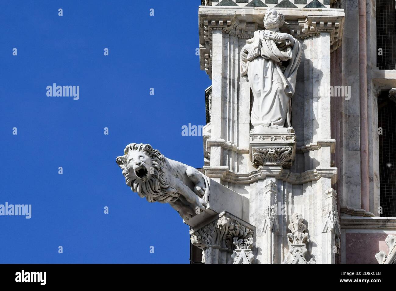 Détail lion depuis le Duomo de Sienne Banque D'Images