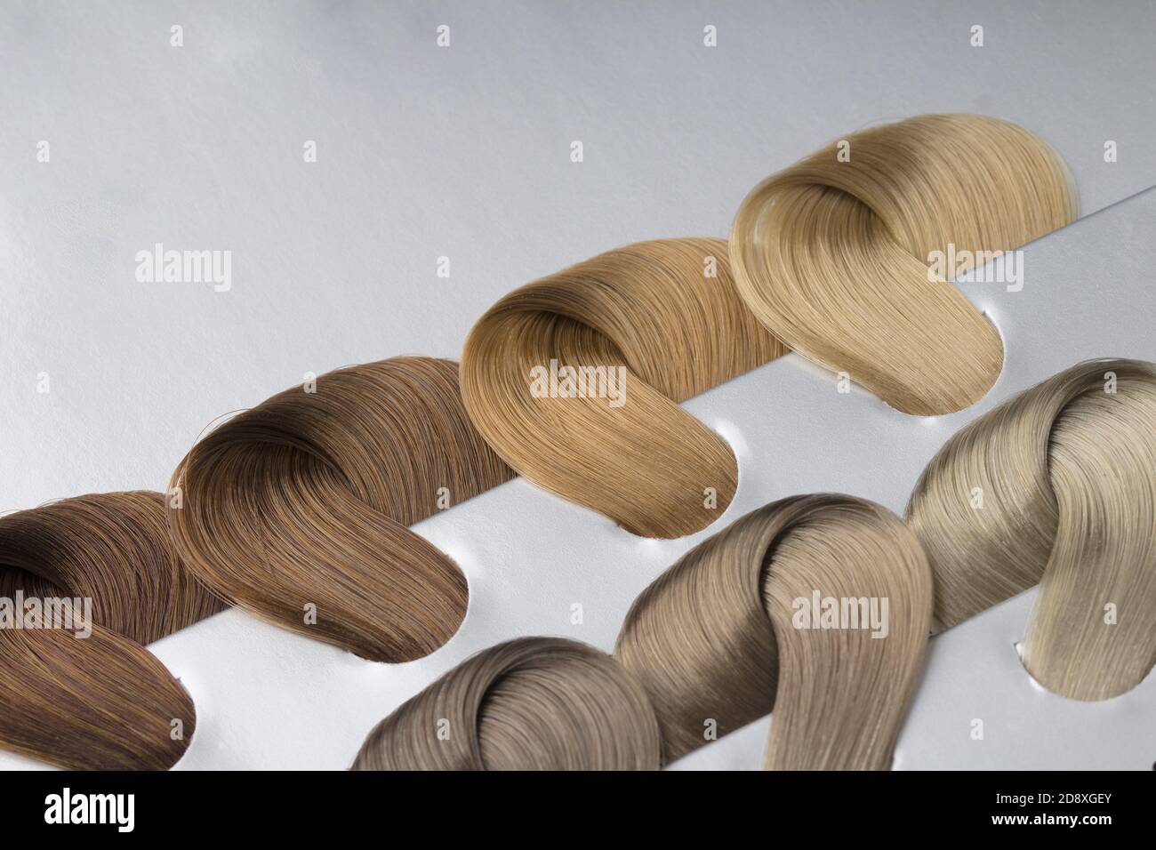 Différents types de nuances de cheveux blond et foncés. Concept de coloration des cheveux Banque D'Images
