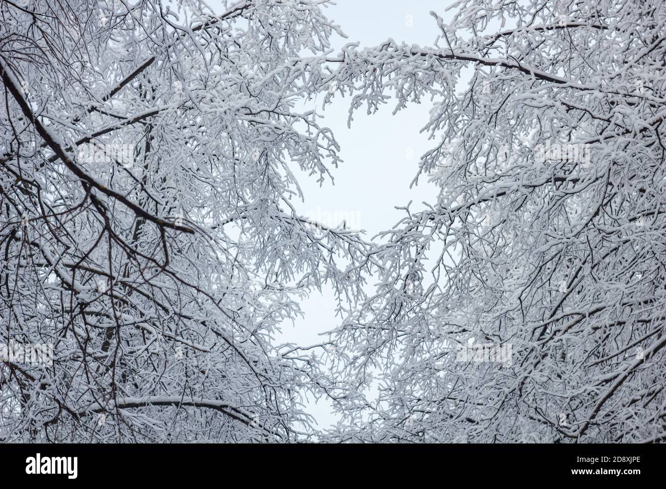 Vue Des Toits Effet Neige Ou Toits Sous La Neige Banque d'image et