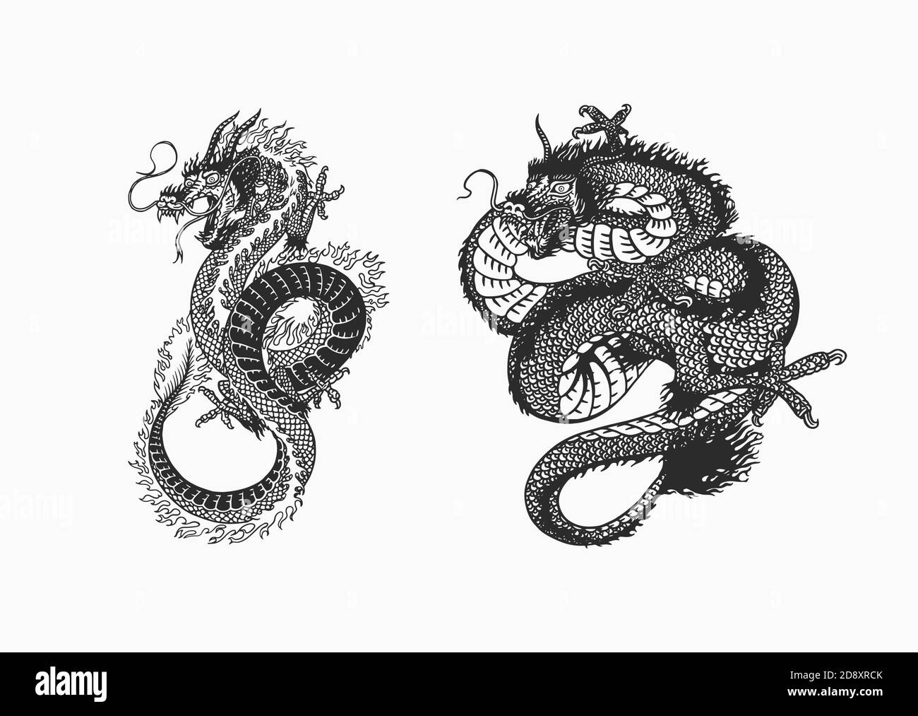 Dragon japonais. Animal mythologique ou reptile traditionnel asiatique. Symbole pour tatouage ou étiquette. Dessin au trait gravé à la main Art ancien monochrome Illustration de Vecteur