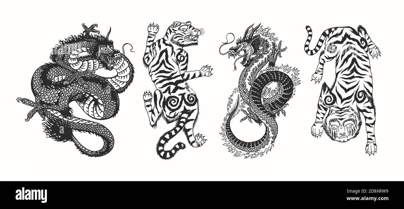 Dragon japonais. Tigre asiatique japonais. Animal mythologique ou reptile traditionnel. Symbole pour tatouage ou étiquette. Dessin au trait gravé à la main art Vintage Illustration de Vecteur
