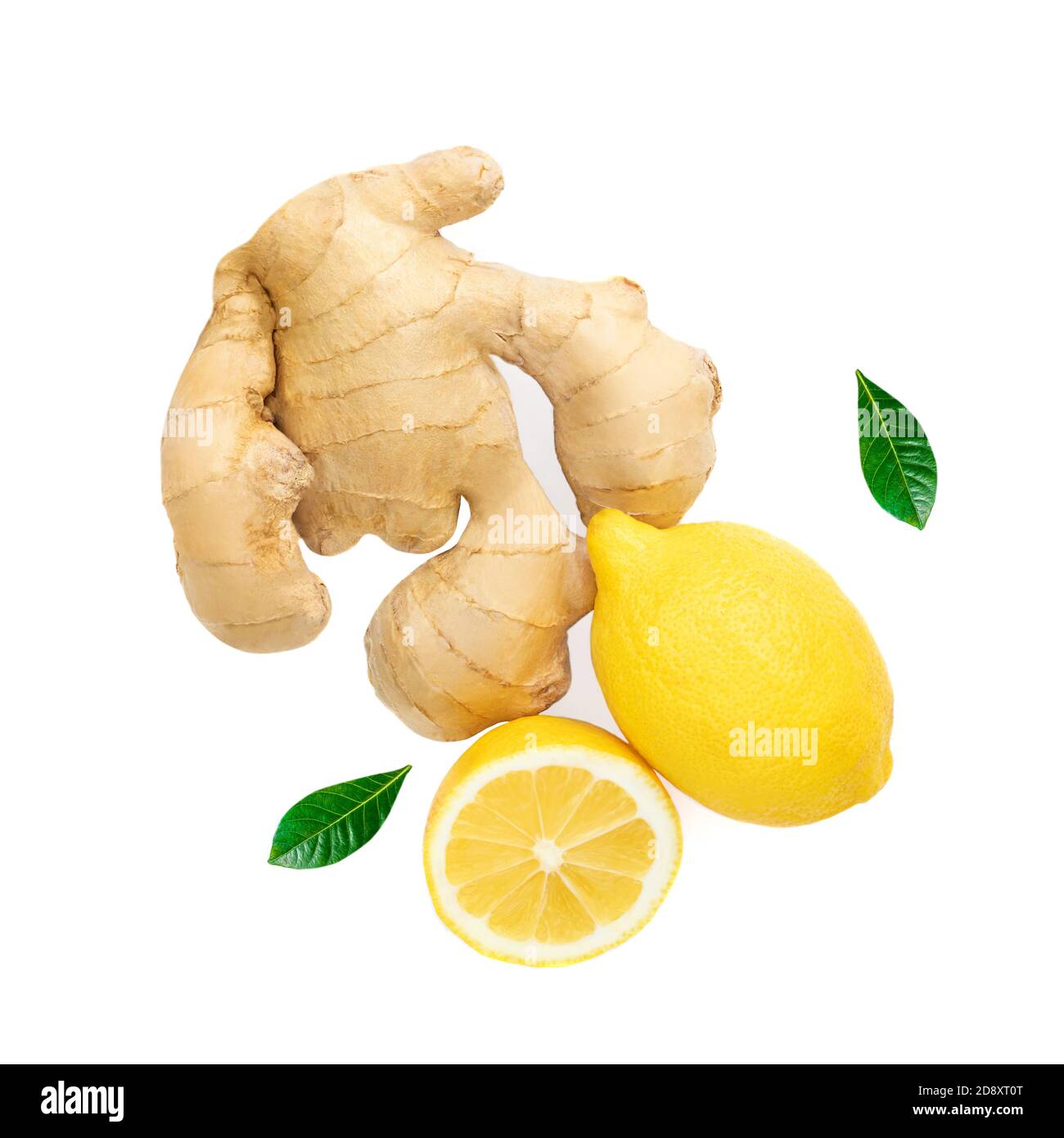 Mise en page créative à base de racine de gingembre frais avec des tranches de feuilles vertes et de fruits au citron isolés sur fond blanc. Vue de dessus. Pose à plat. Banque D'Images