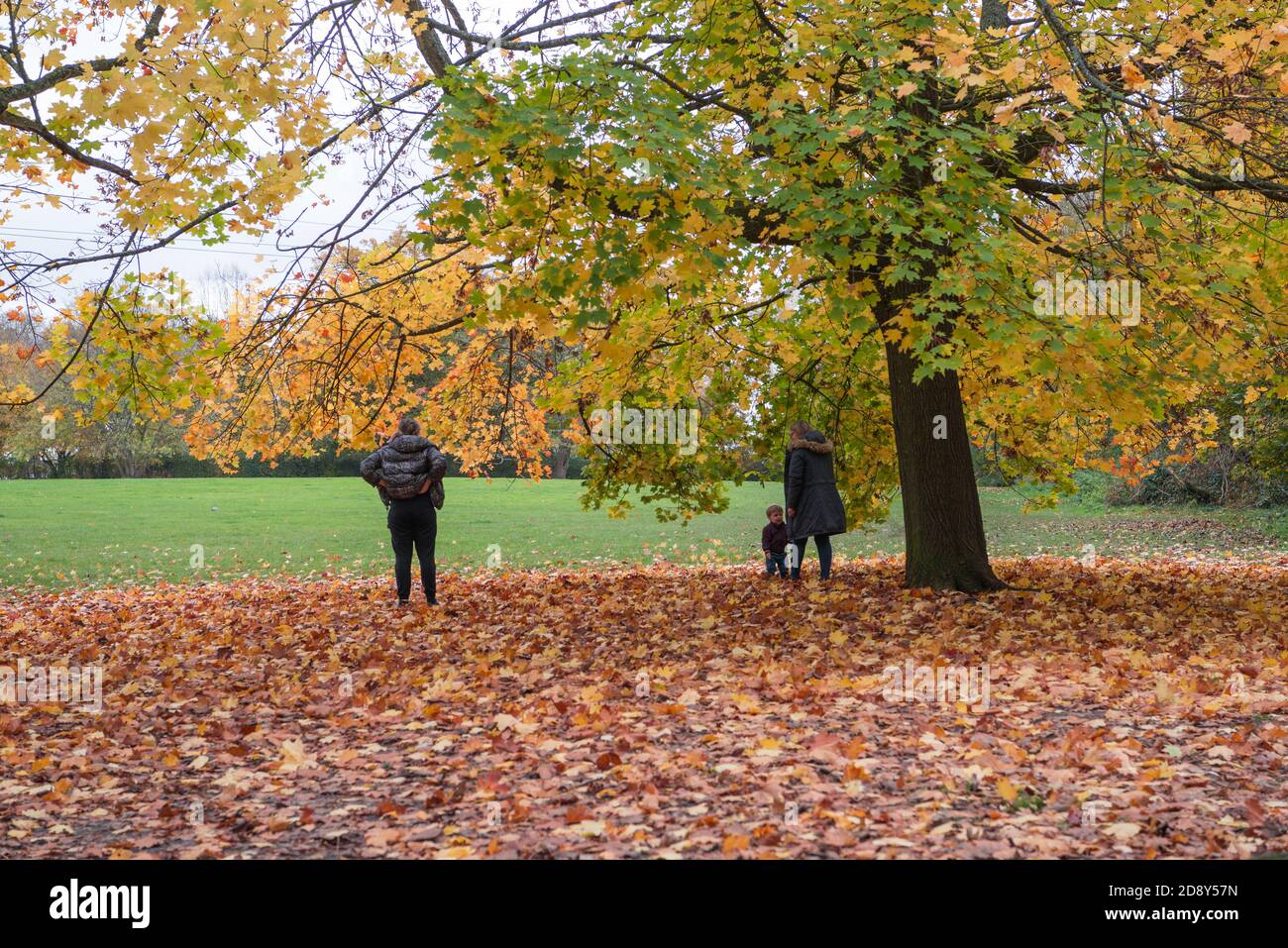 Deux jeunes femmes avec un petit enfant se tiennent parmi les feuilles d'automne tombées sous un grand sycomore. Banque D'Images