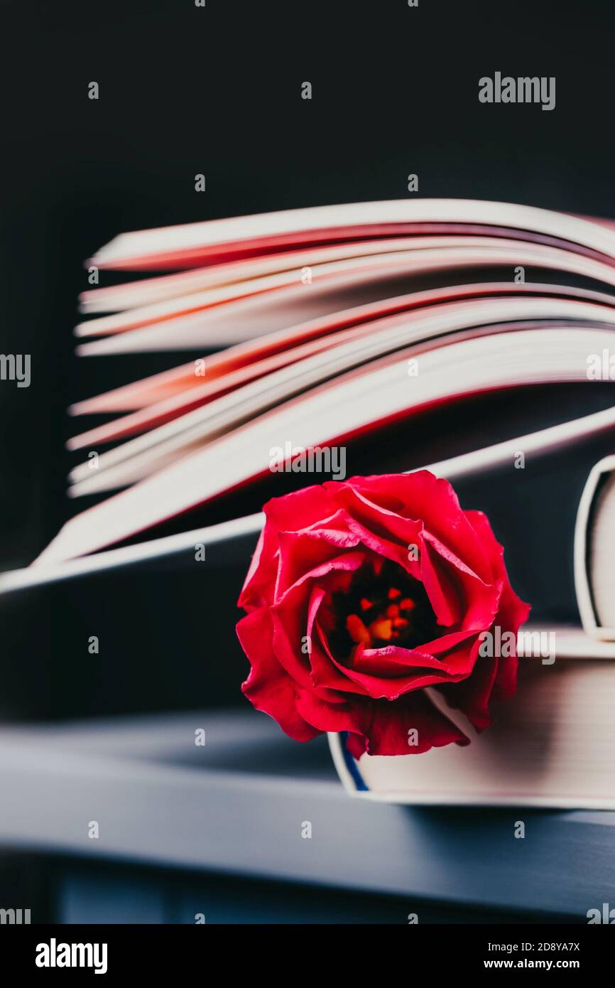 Eustoma rouge ou lisianthus ou fleur gentiane de prairie et livres sur fond sombre Banque D'Images