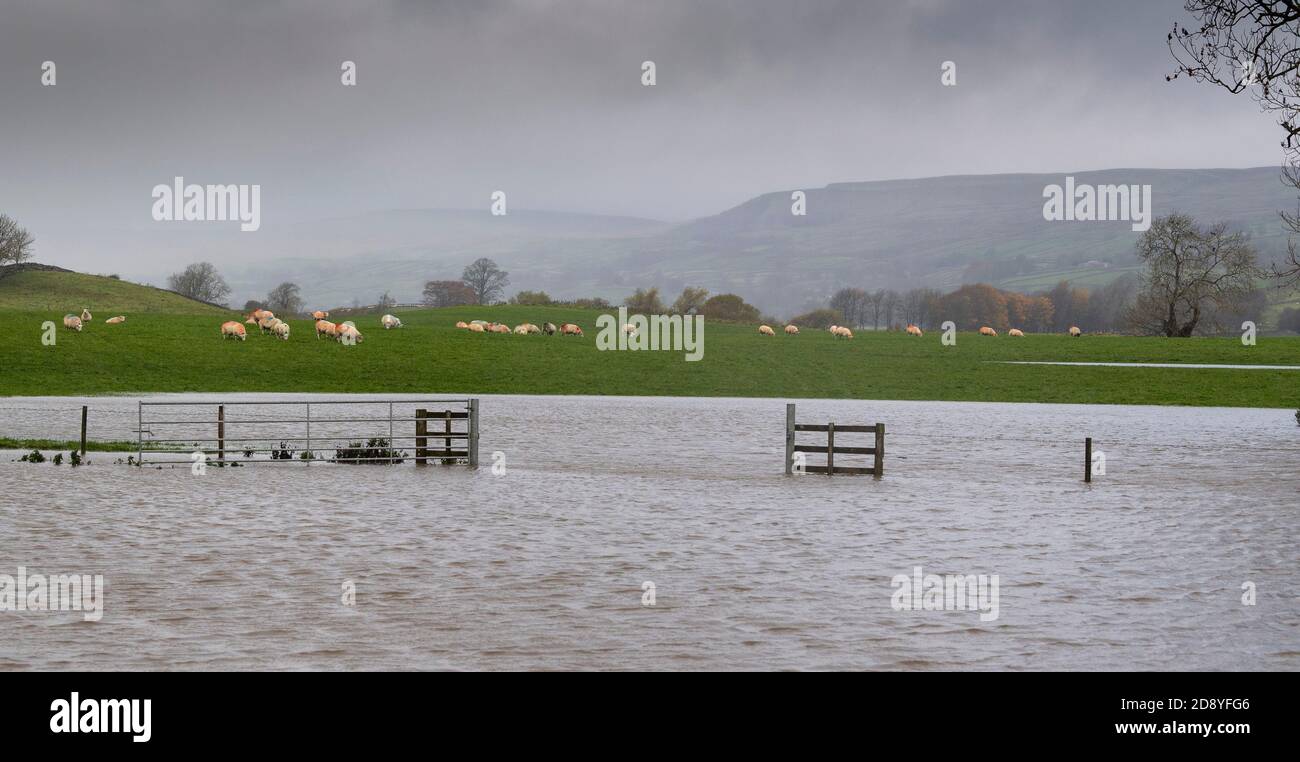Wensleydale, North Yorkshire, Royaume-Uni. 2 novembre 2020. La tempête Aiden a traversé Wensleydale pendant la nuit, causant des dégâts et des inondations. À une époque, la ville marchande de Hawes a été coupée en raison de l'augmentation des eaux d'inondation après que la rivière Ure a éclaté ses rives. Crédit : Wayne HUTCHINSON/Alamy Live News Banque D'Images
