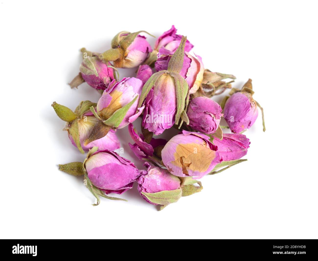 Boutons de roses séchés isolés sur fond blanc. Banque D'Images