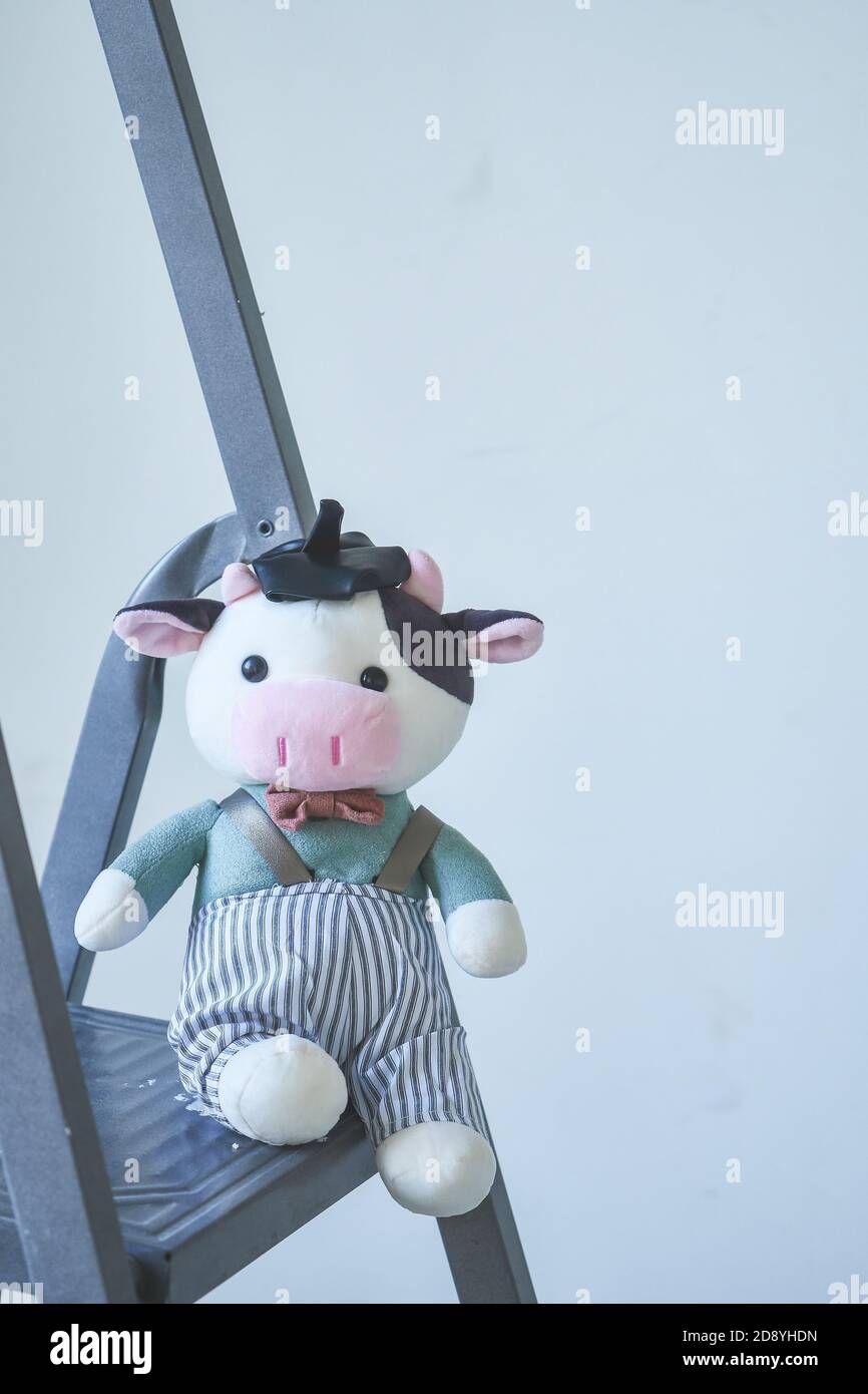 symbole vache de la nouvelle année 2021. Le jouet mou repose sur un escabeau espace de copie Banque D'Images