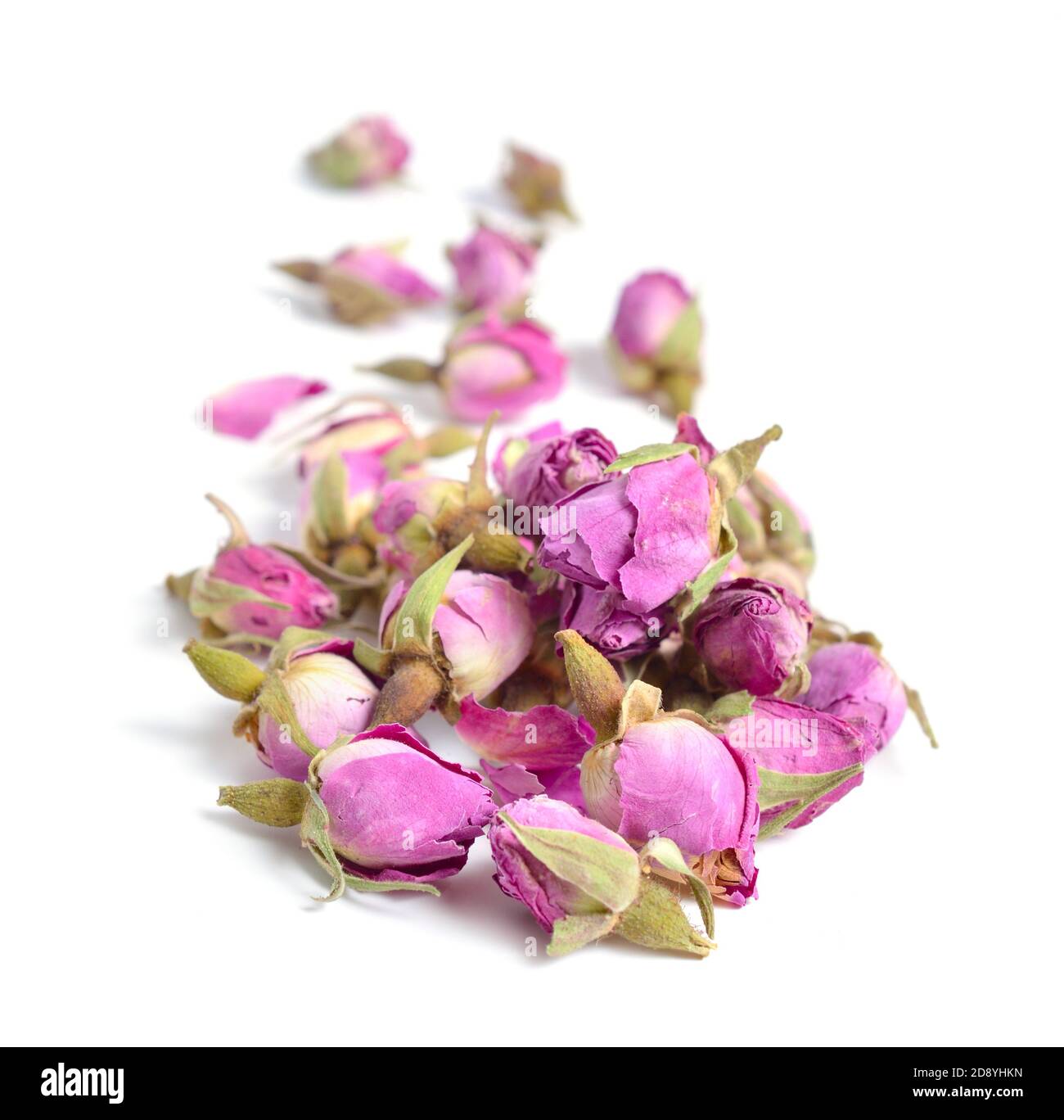 Boutons de roses séchés isolés sur fond blanc. Banque D'Images