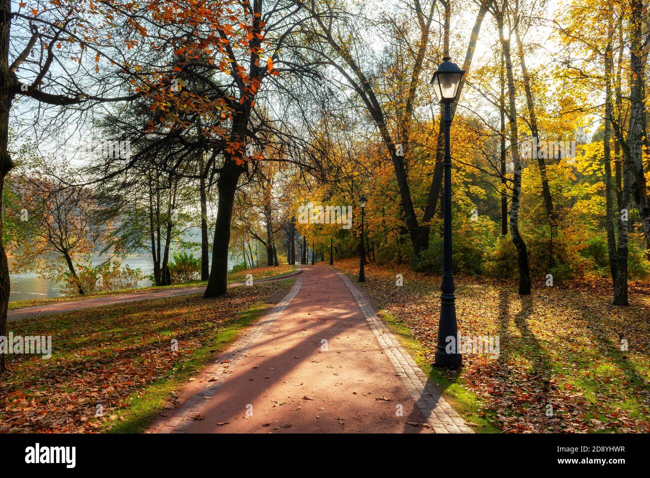 Ruelle romantique d'automne dans un parc avec des arbres colorés Banque D'Images