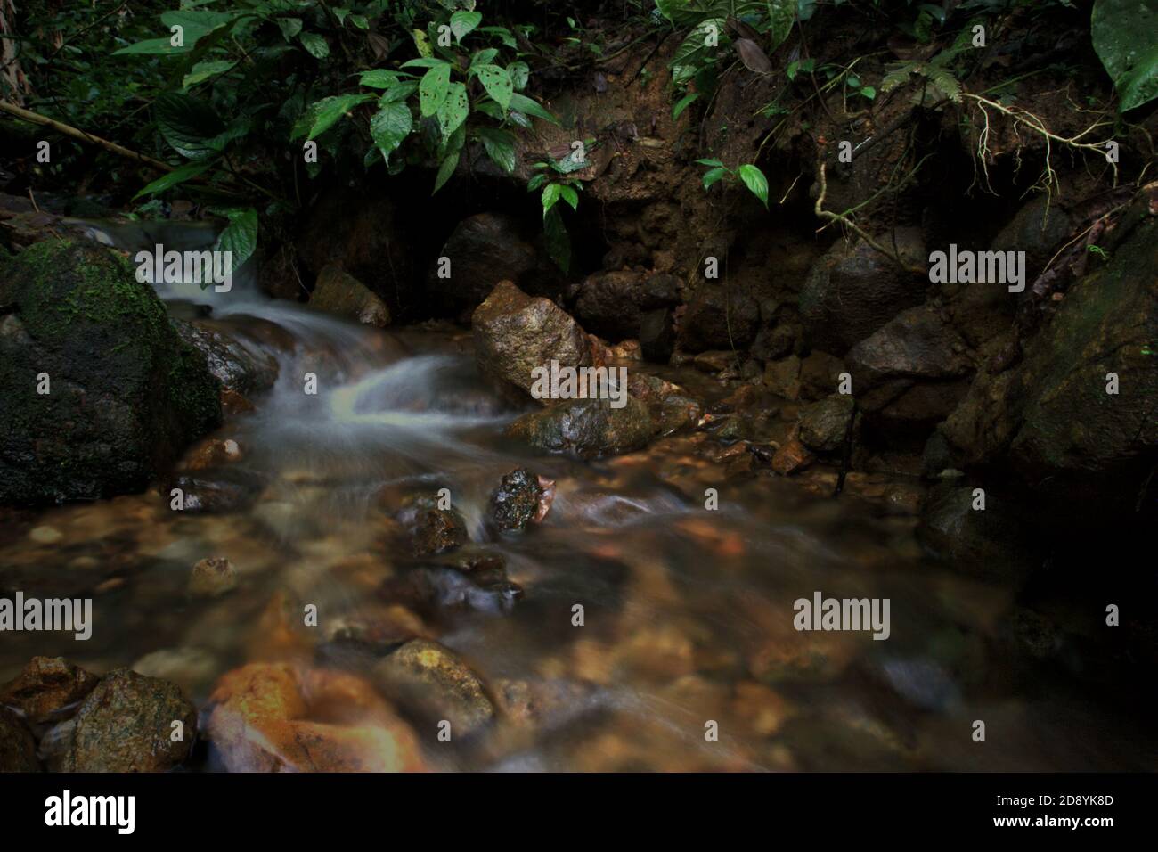 Un petit ruisseau dans une forêt au bord du bloc ouest de l'écosystème de Batang Toru dans le centre de Tapanuli, au nord de Sumatra, en Indonésie. Banque D'Images