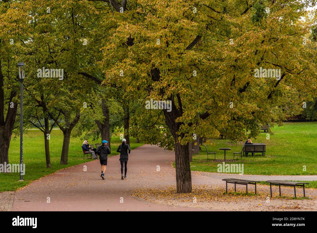 L'homme et la femme sont en train de courir et de parler sur le parc Letna à l'automne 2020 sur Prague 6, pendant la période de quarantaine en raison de l'épidémie de COVID-19 comme l'hiver est étoile Banque D'Images